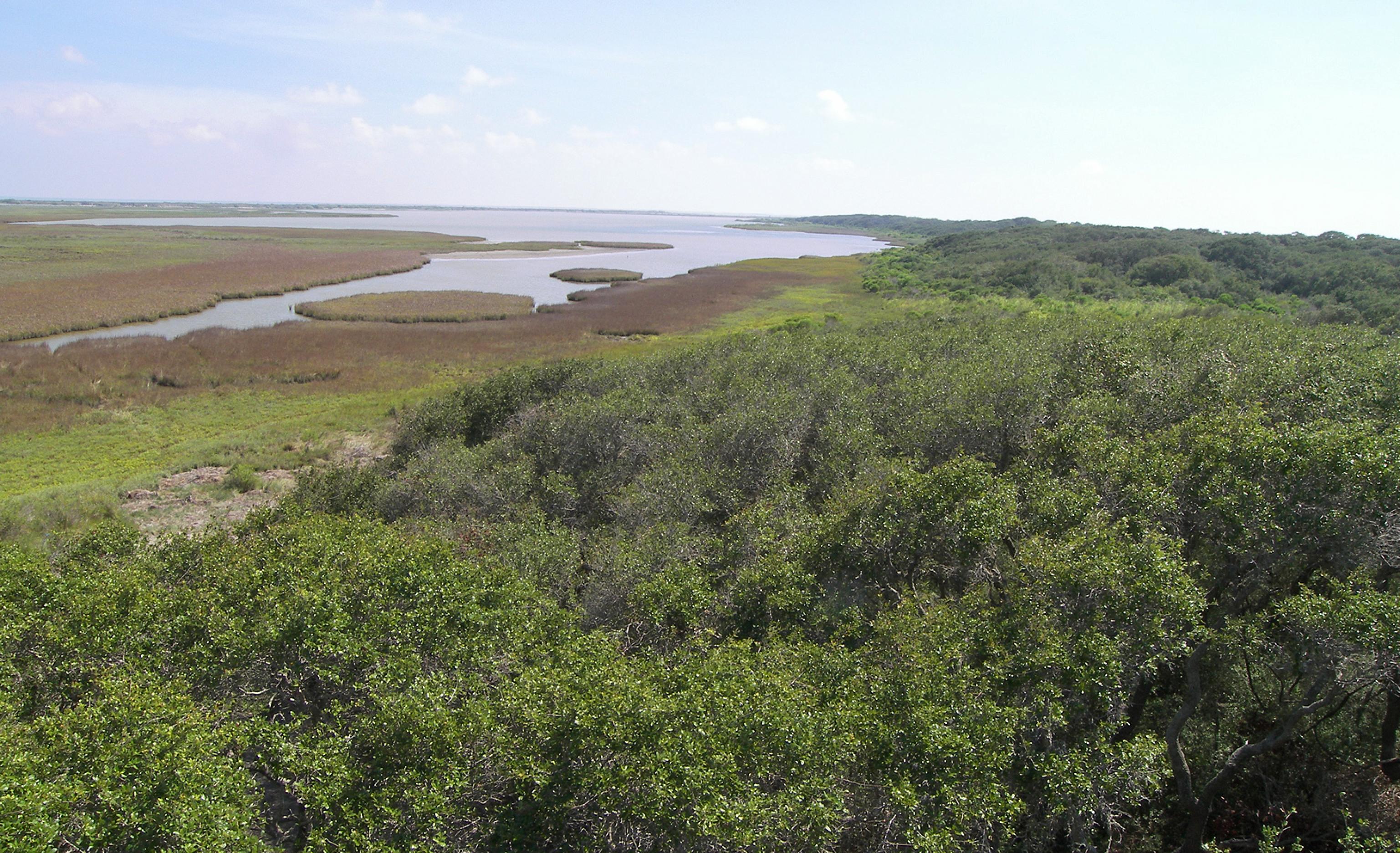 Blick auf das Aransas National Wildlife Refuge im Süden des US-Bundesstaats Texas, im Vordergrund dichte Vegetation, weiter hinten das Feuchtgebiet mit offenen Wasserflächen hin zum Meer.