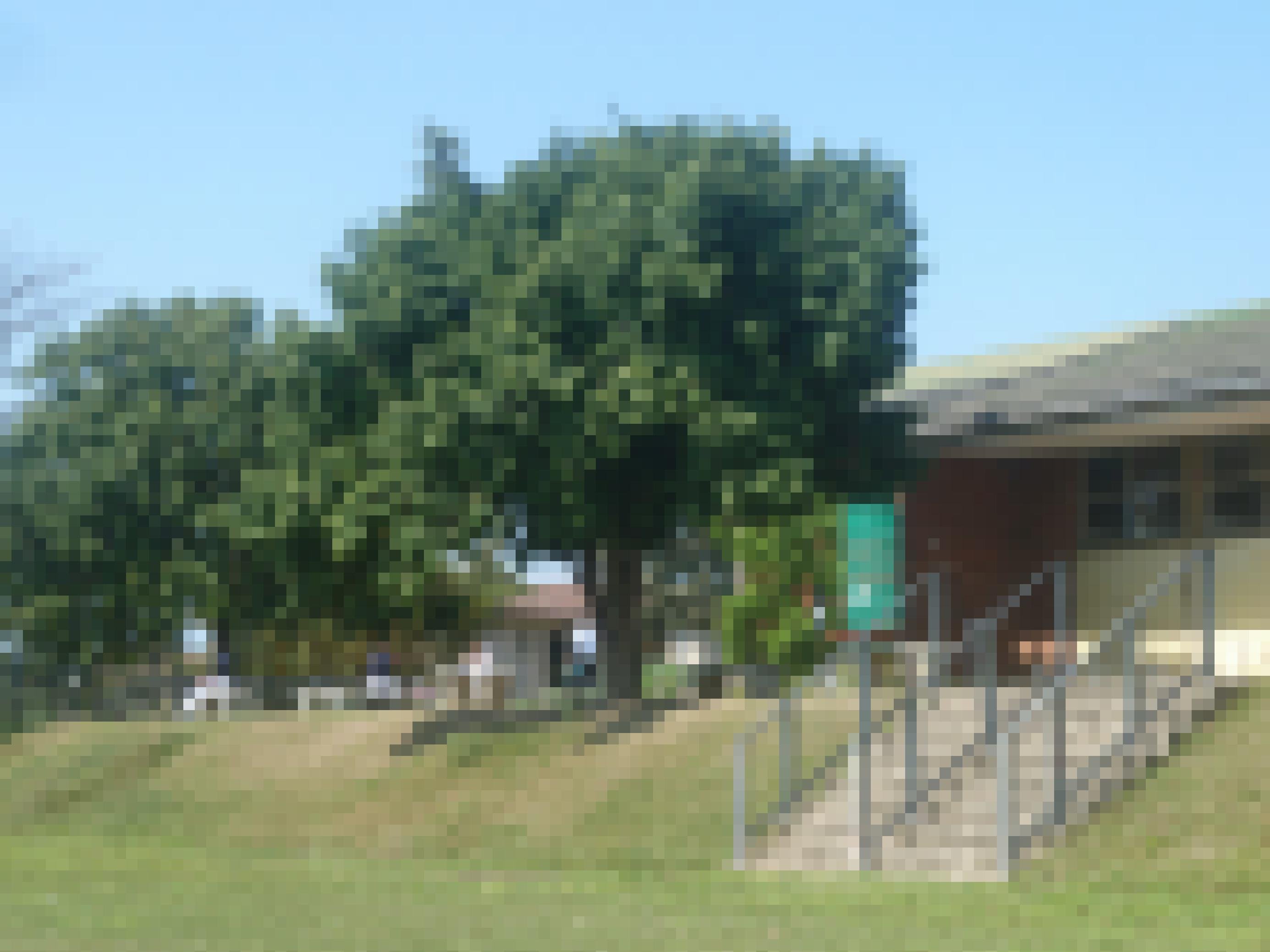 Die Schule ist vom Sportplatz und Schulhof aus zu sehen, Treppen führen neben einem Baum zu den Klassenräumen, davor stehen Wassertanks