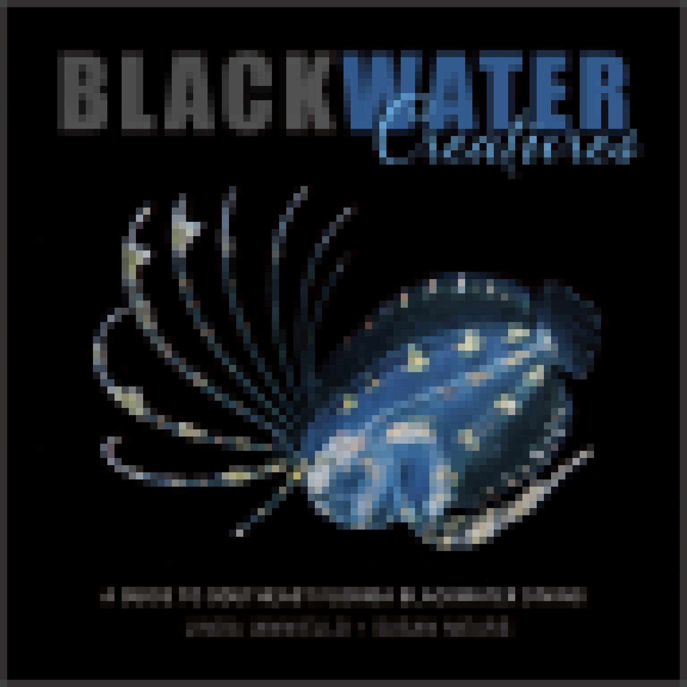Cover des Buches „Blackwater Creatures“