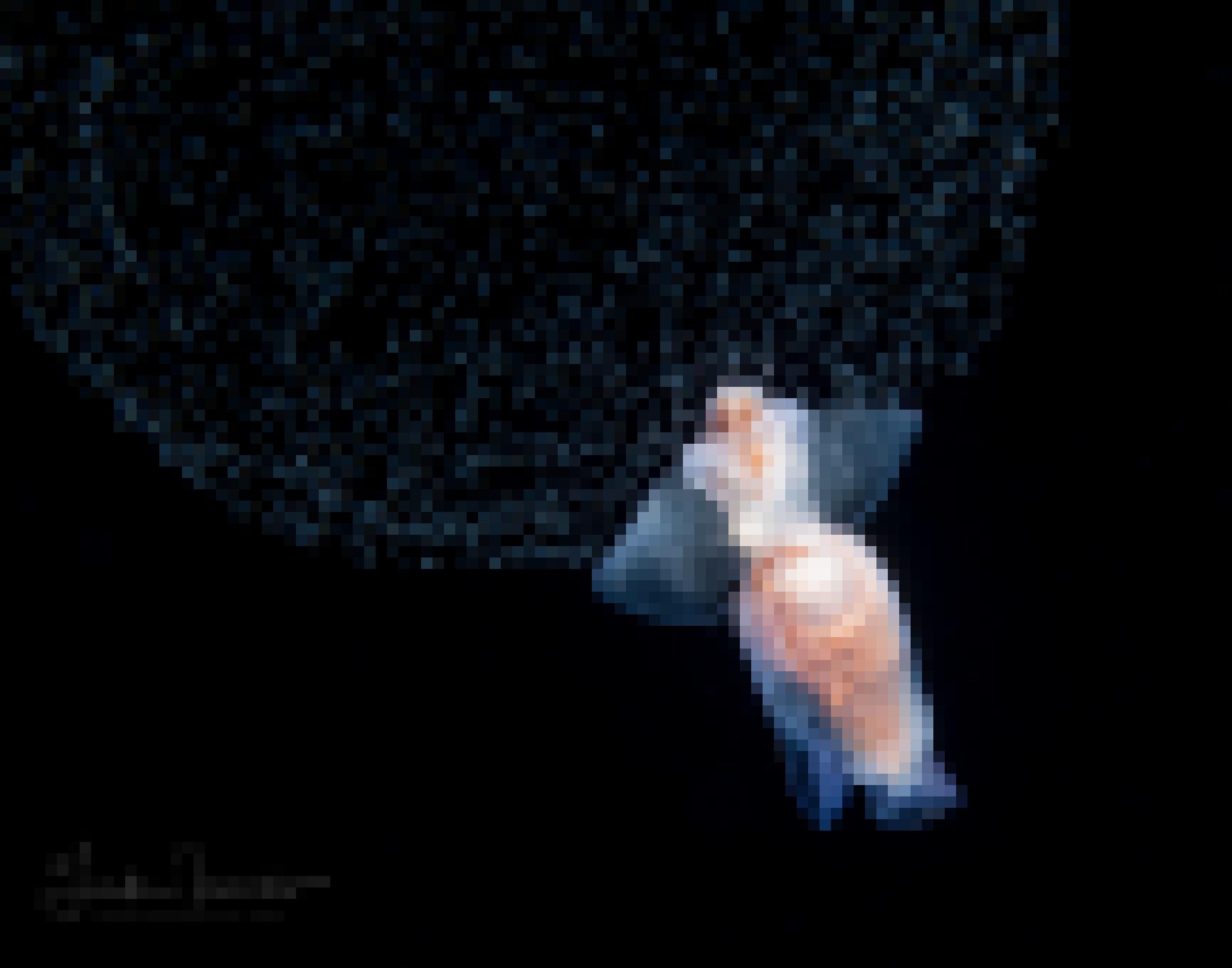 Eine Ruderschnecke, ein marines Weichtier mit teils transparentem Körper, hat winzige Eier produziert.