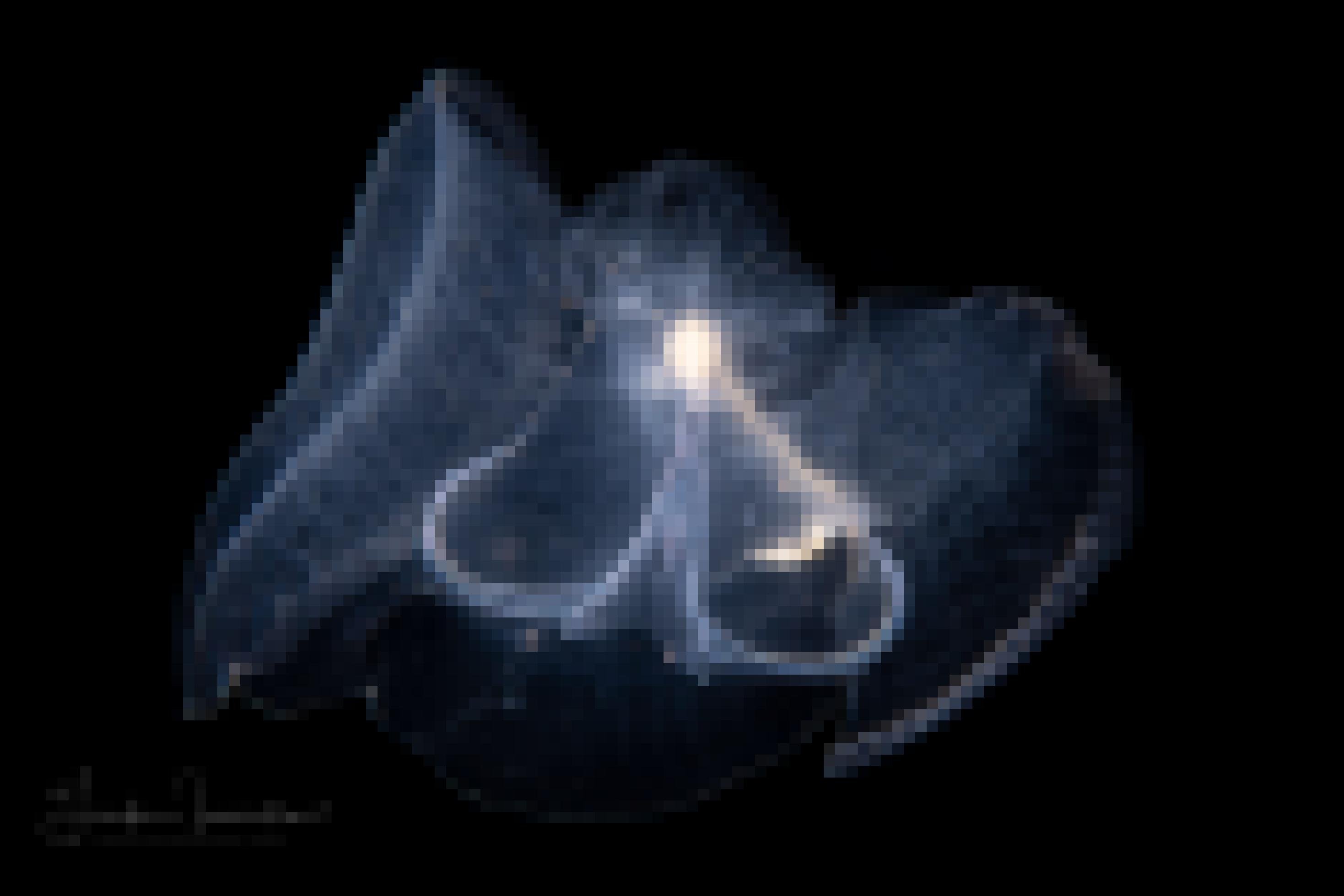 Eine durchsichtige Meeresschnecke, der „Seeschmetterling“ mit transparentem Körper