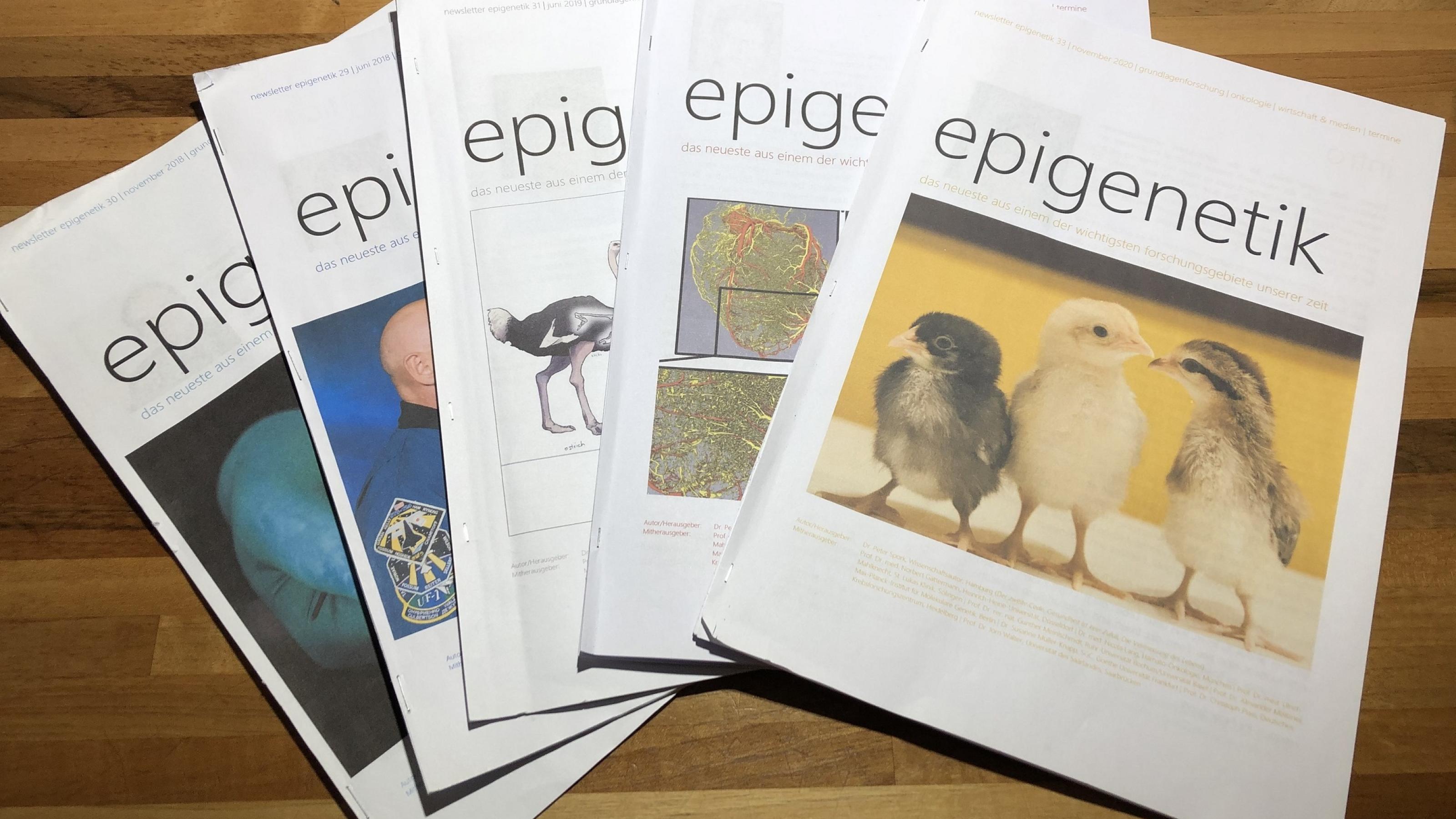 Fünf übereinander gelegte Hefte des Newsletter Epigenetik bilden eine Art Fächer.