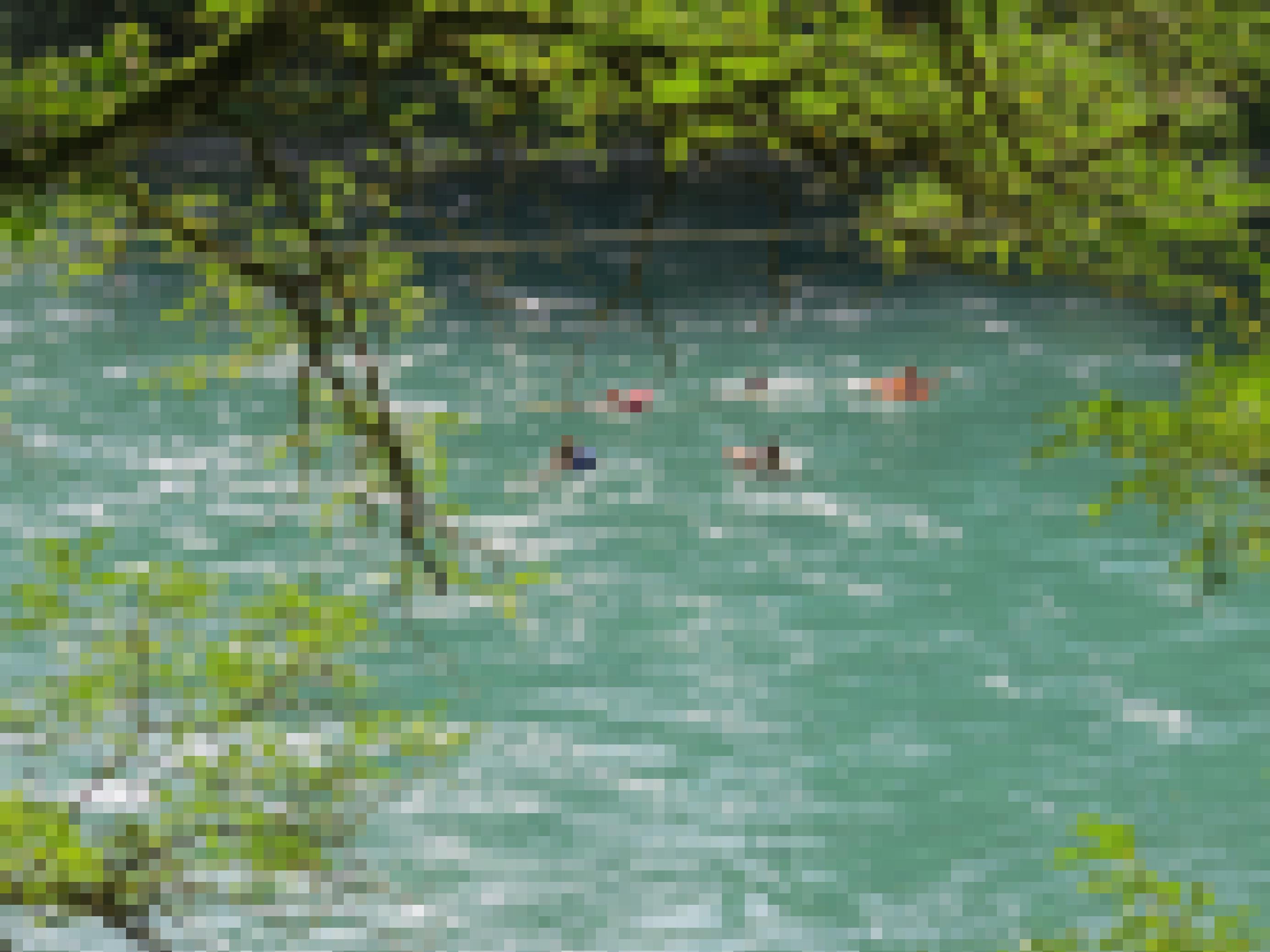 Fluss mit Schwimmenden