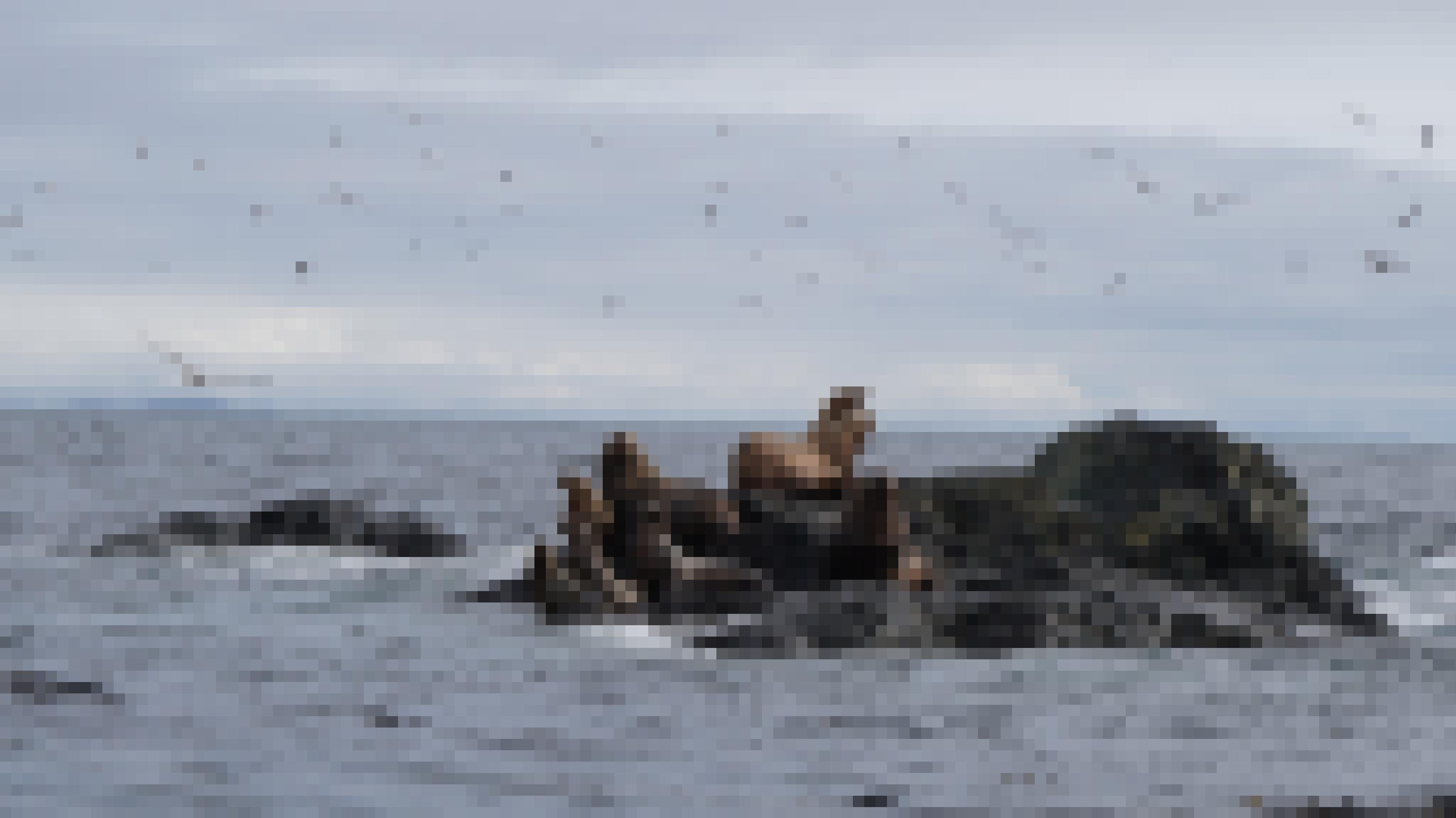 Seelöwen sitzen auf einem Felsen im Meer, um den Möwen kreisen
