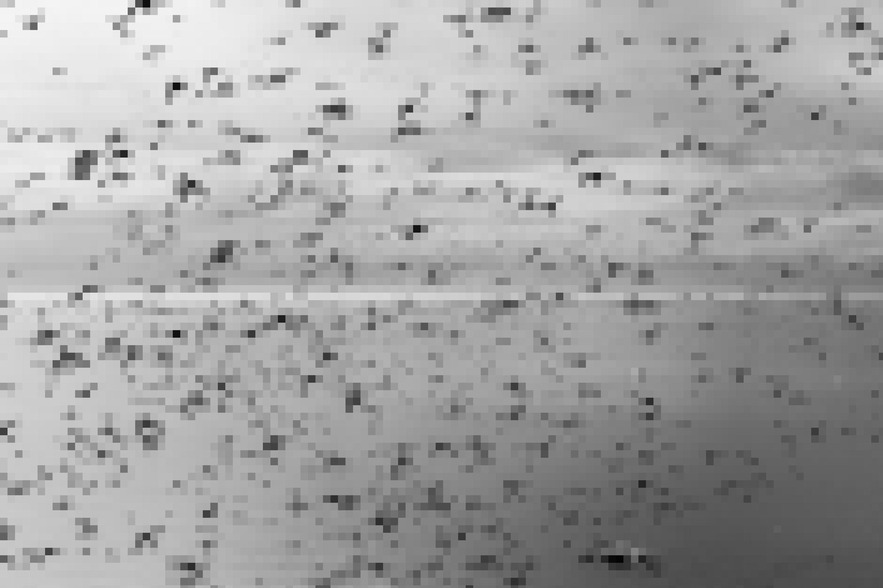 Ein schwarz-weiß-Foto zeigt Vogelschwärme über dem Meer