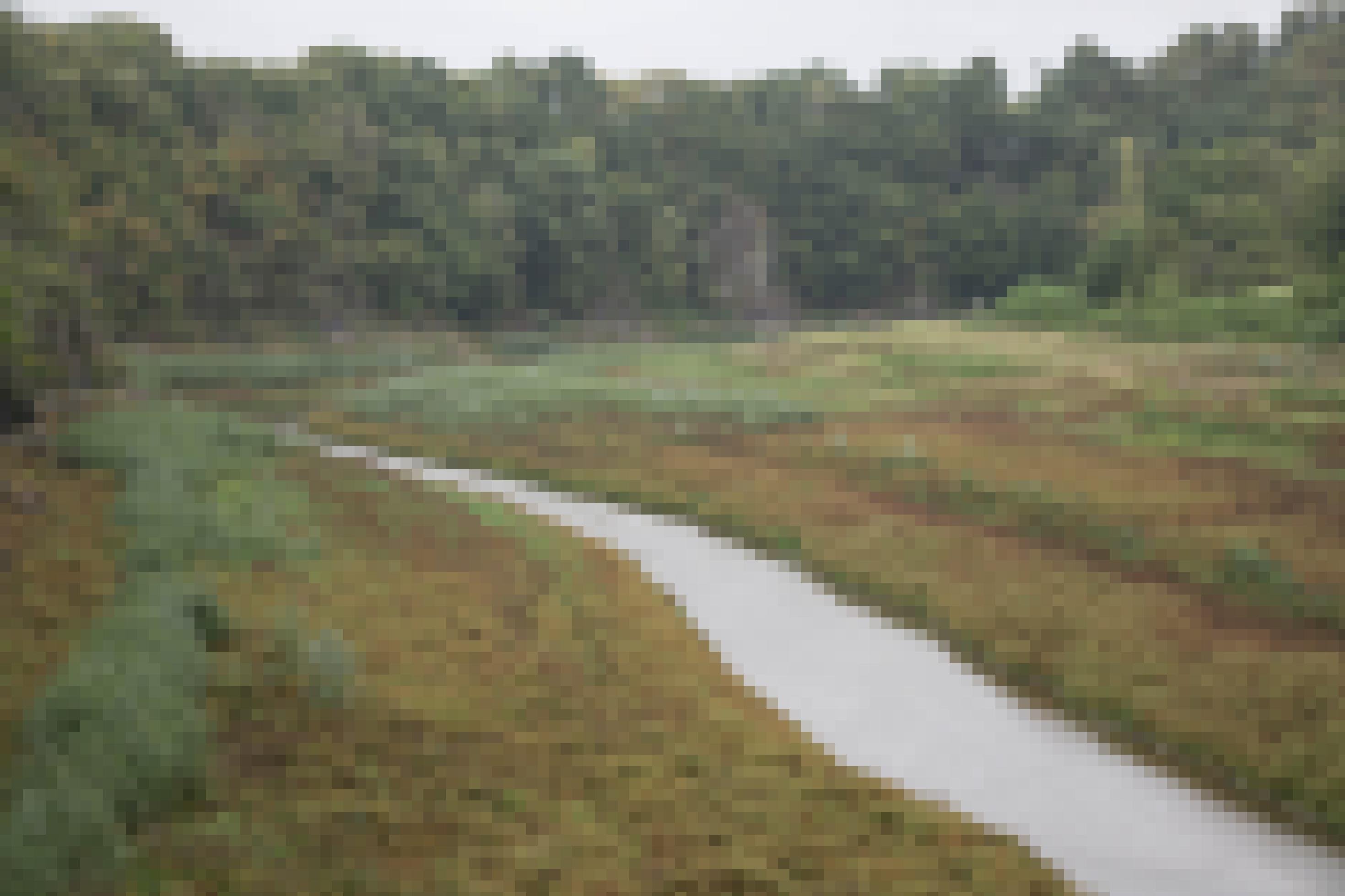 Fluss in seinem flachen Tal mit Bewuchs und Wald dahinter