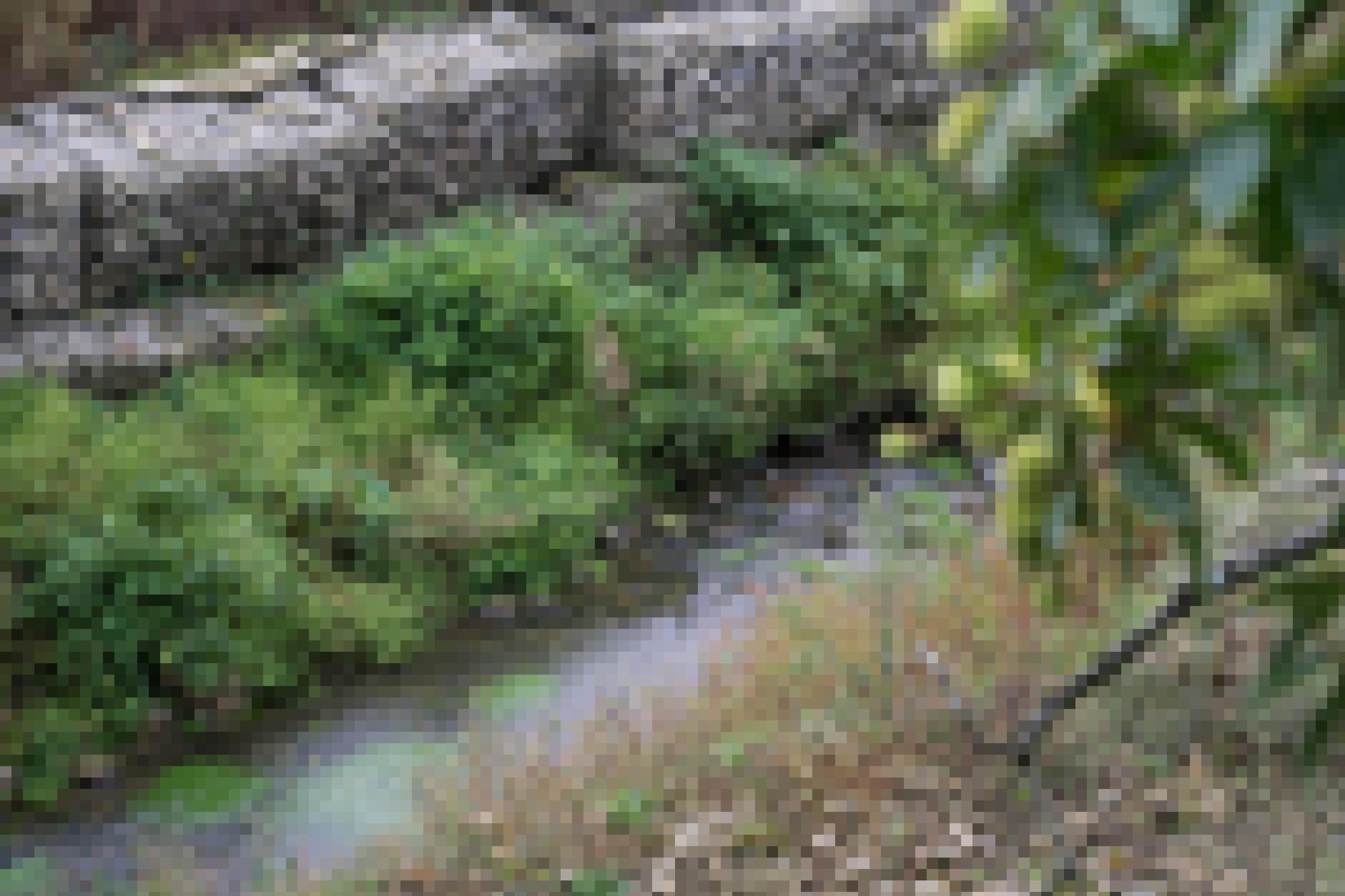 Metallkäfige mit Steinen gefüllt im Fluss, rundherum Bewuchs