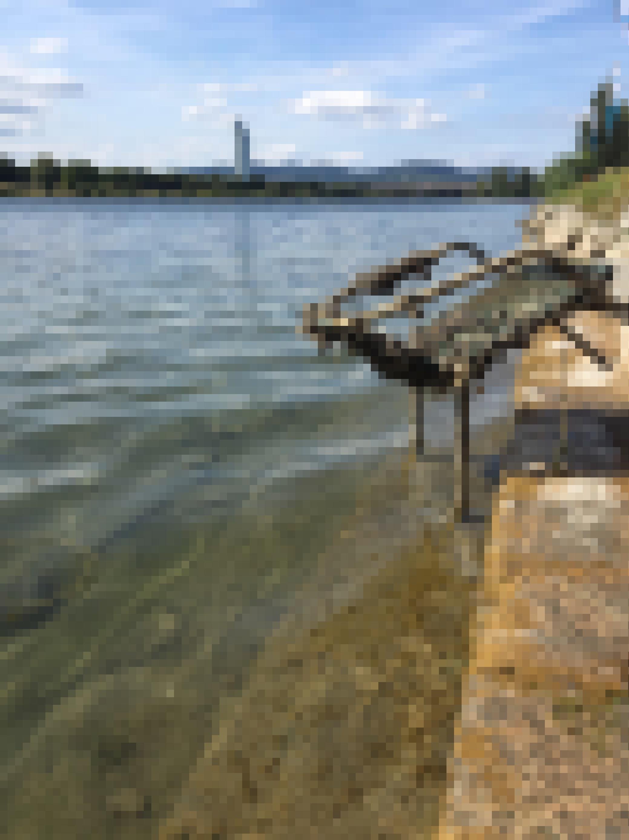 Vorhin noch am Grund der Neuen Donau, nun steht der Sessel am Ufer zum Abholen bereit