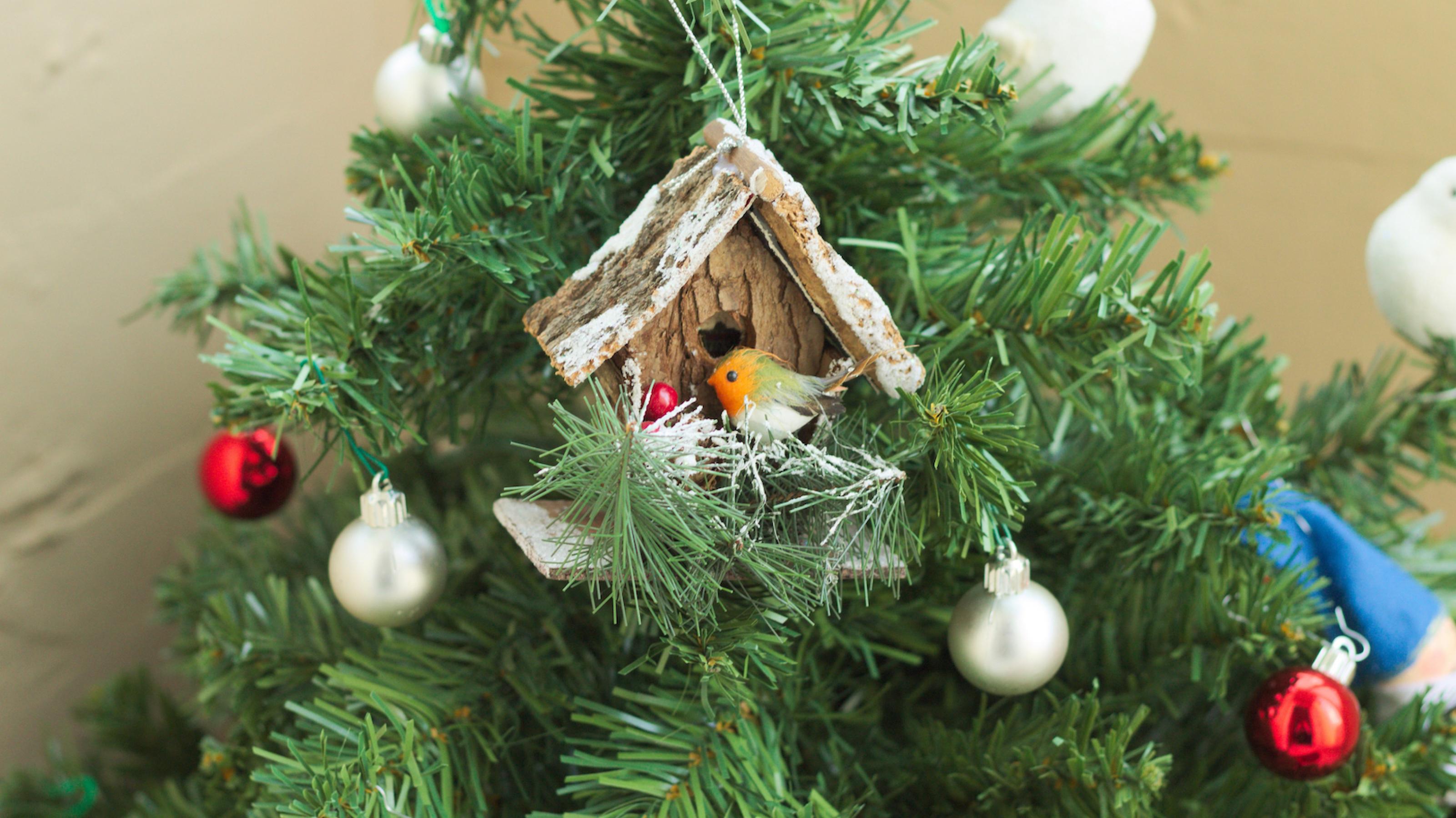 Ein kleines Vogelhäusschen im Adventszweig.