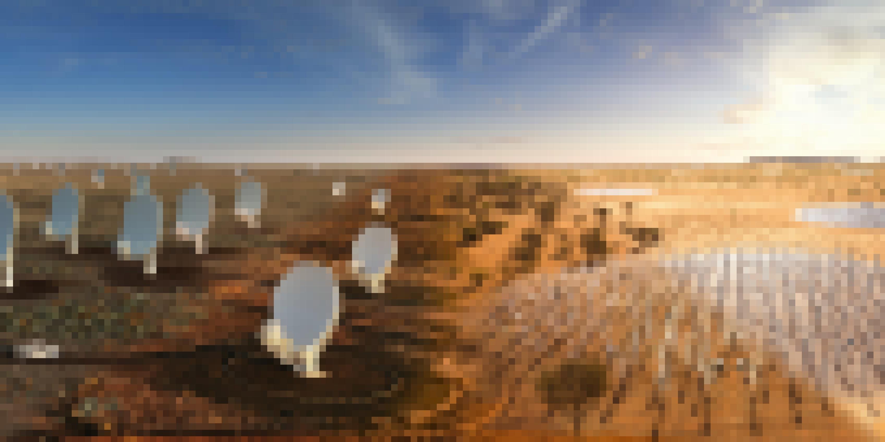 Eine Bildmontage zeigt links parabolförmige Radioteleskope, rechts stabförmige Antennen, die alle in einer Wüstenlandschaft stehen.