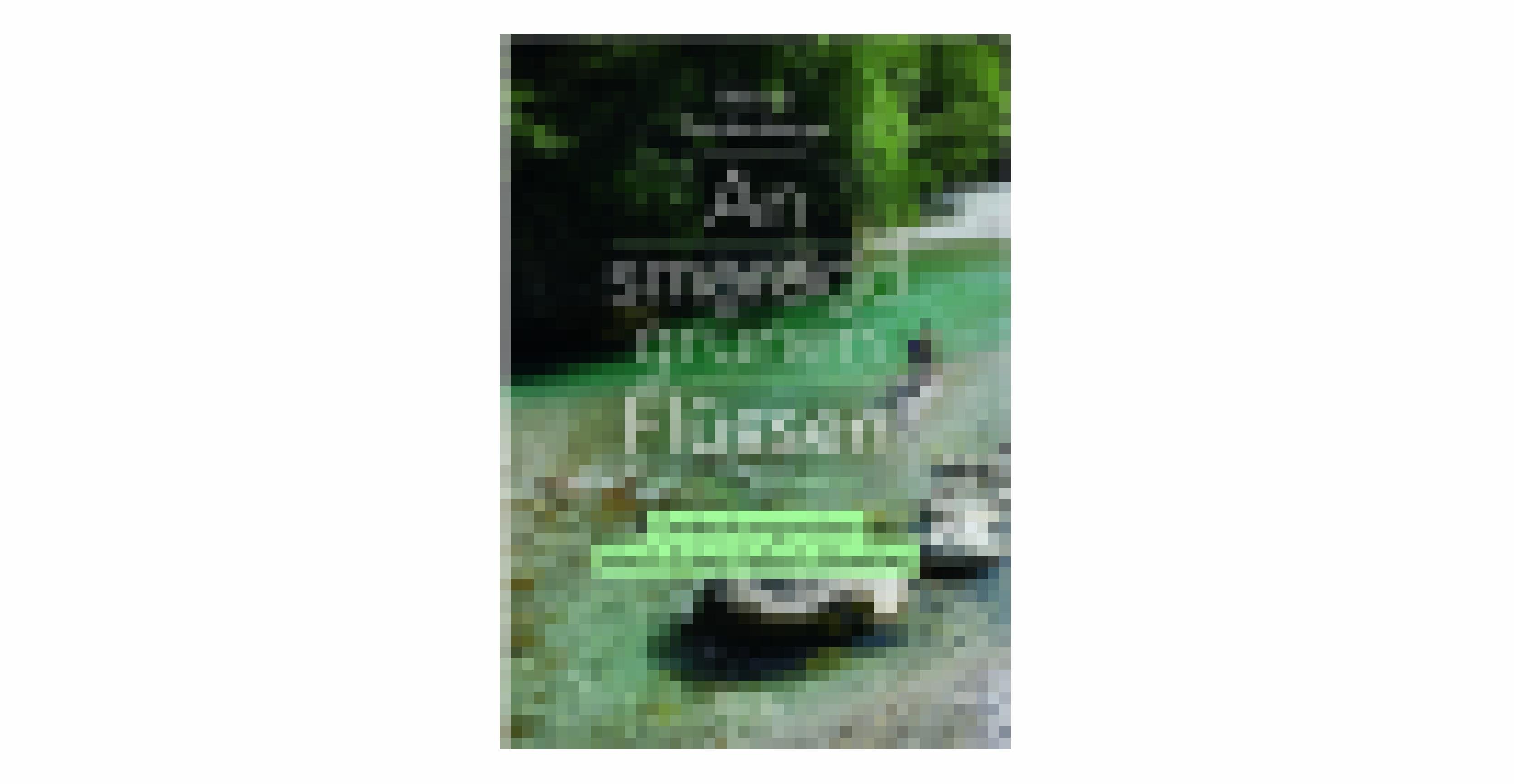 Buchcover eines smaragdgrünen Flusses