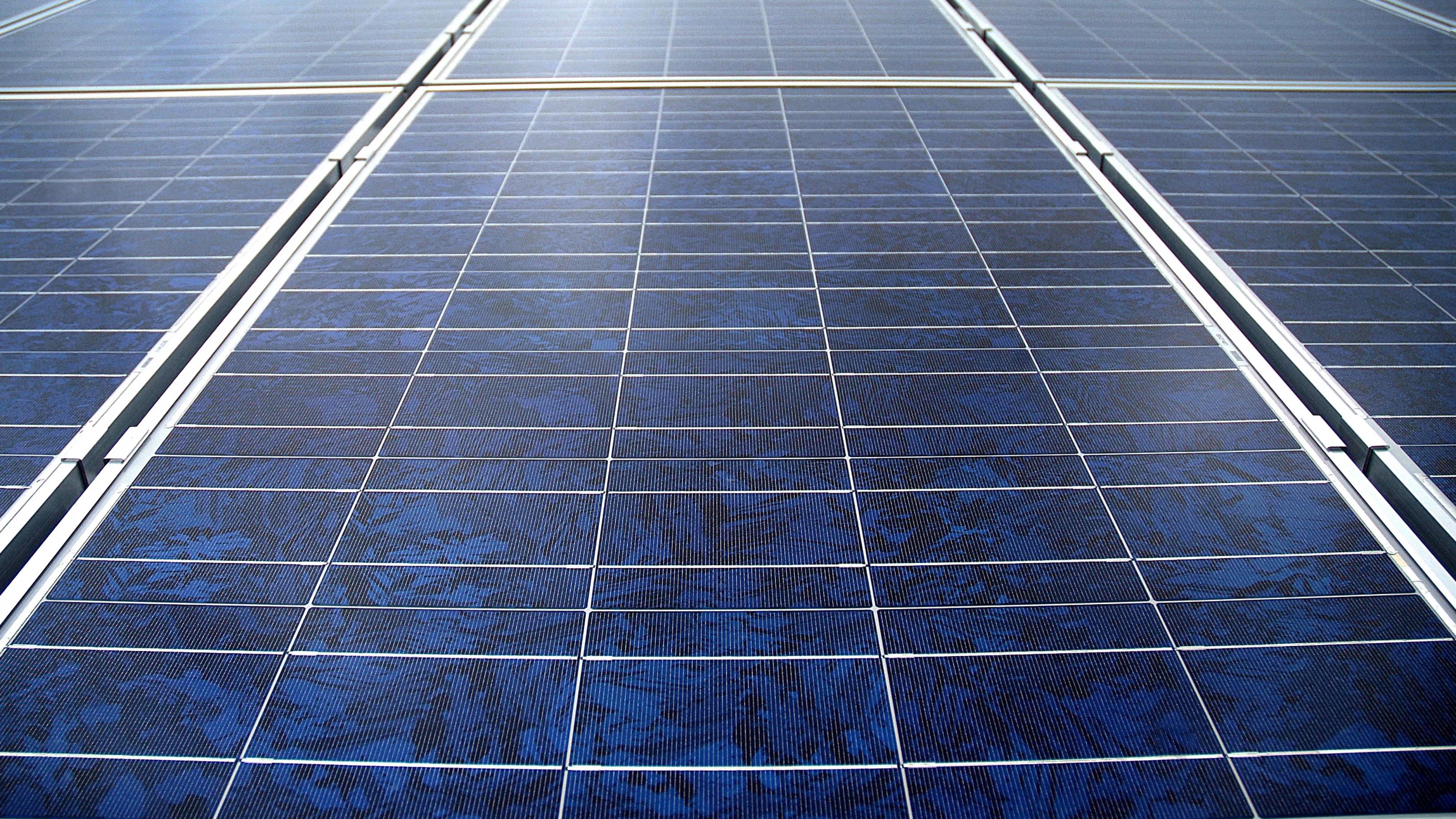 Sechs Photovoltaik-Module in starker Nahaufnahme