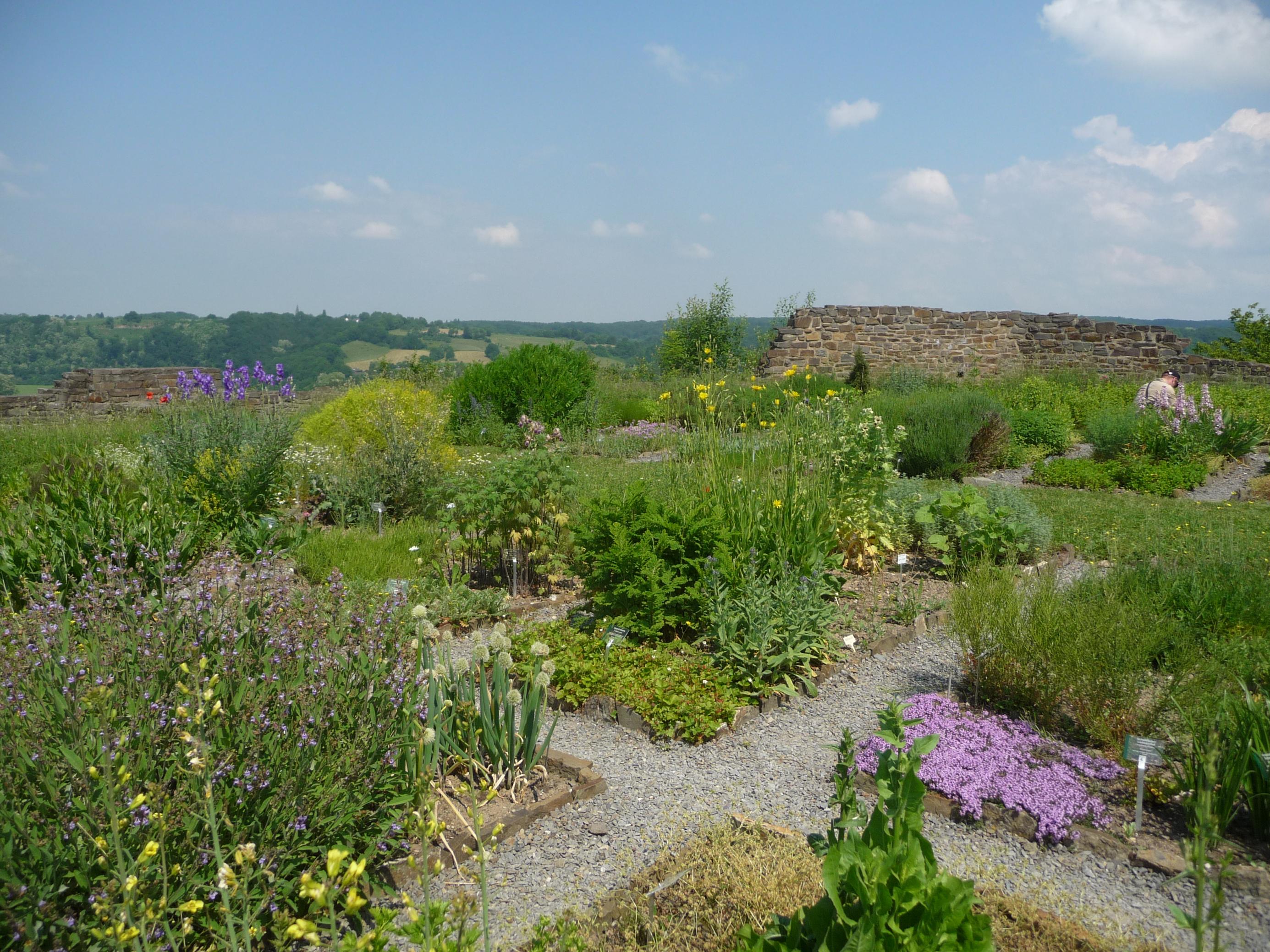 Der Burggarten in voller Blütenpracht.