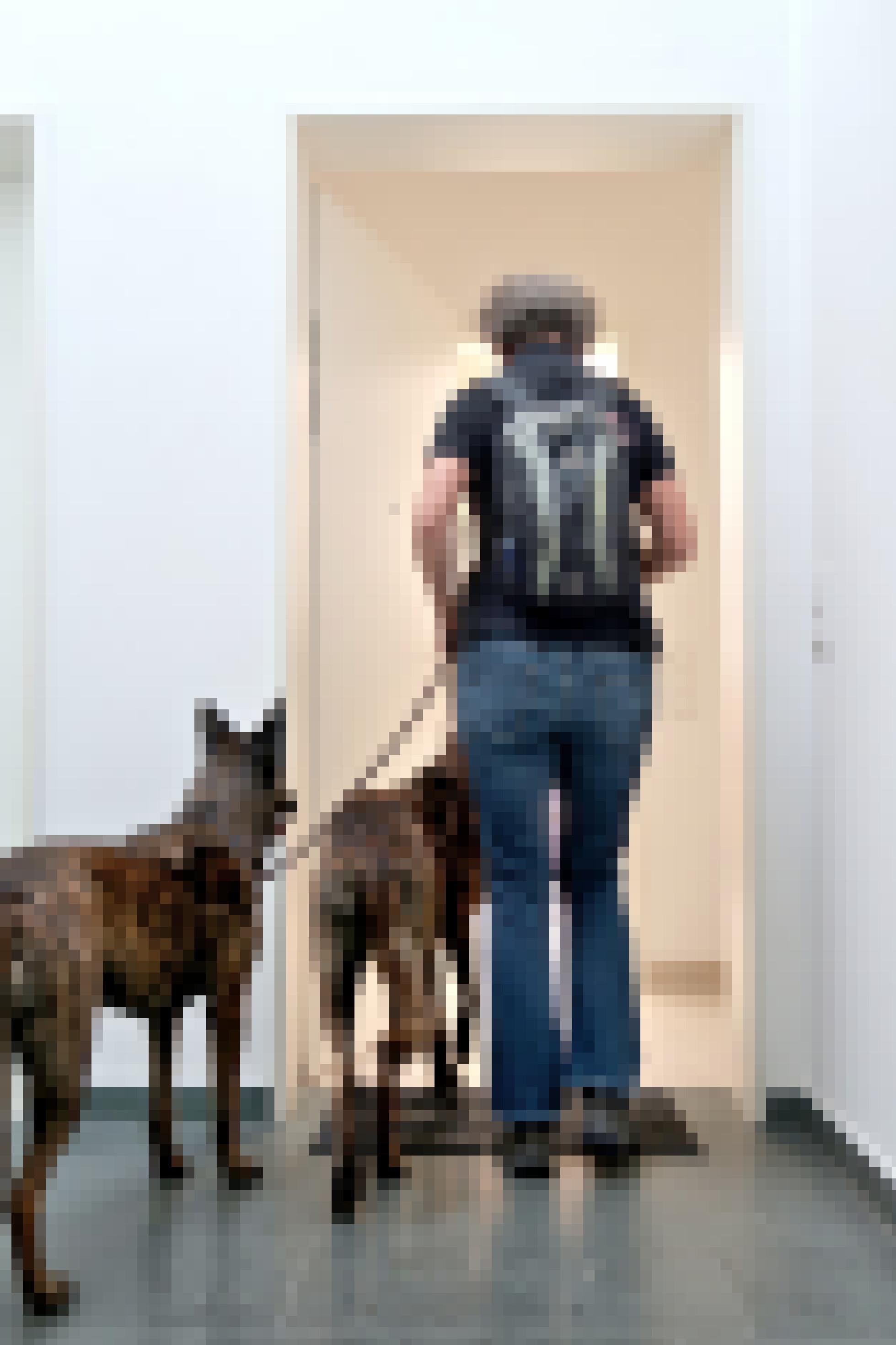 Sonja Rolauf und ihre beiden Hunde betreten eine Wohnung.