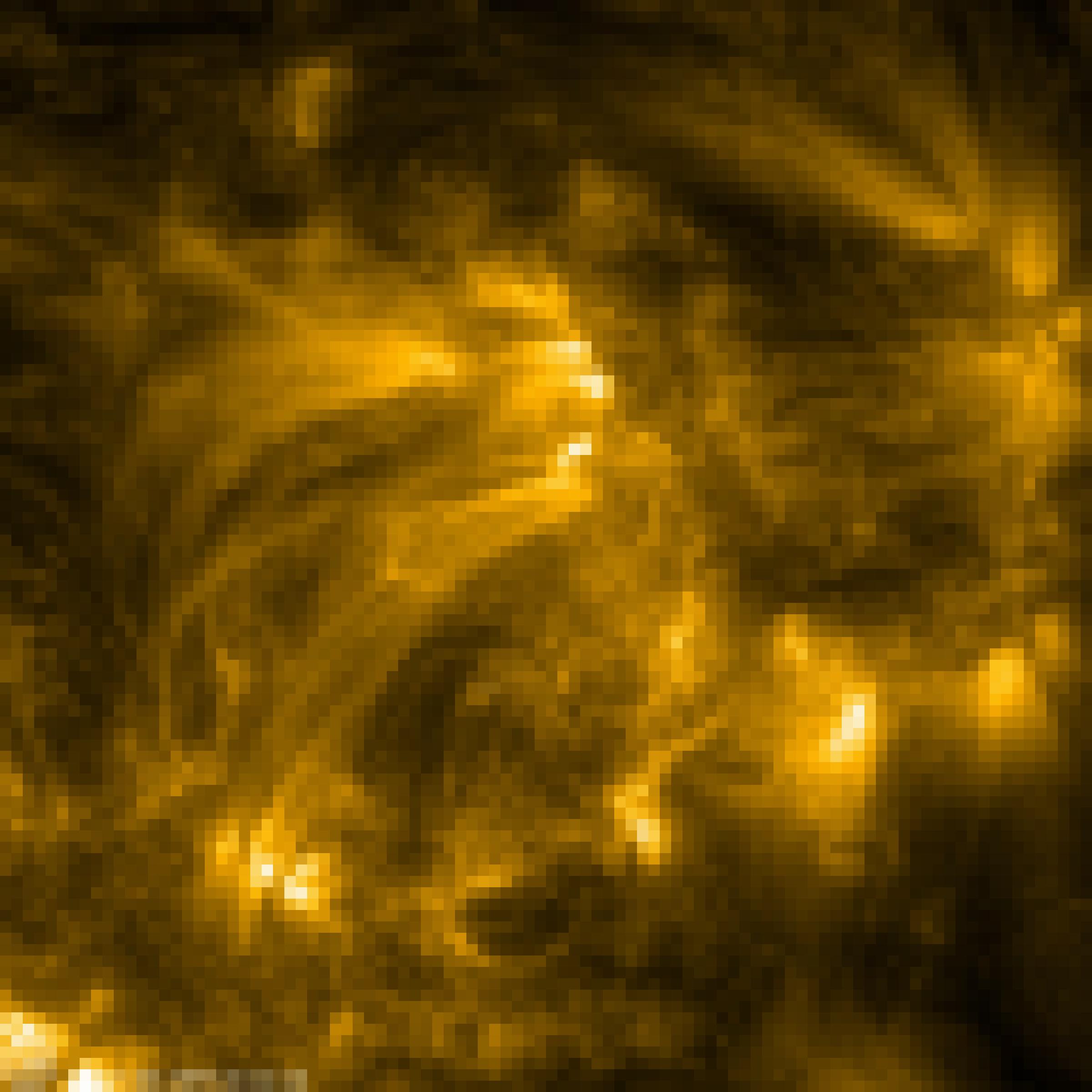 Gelbe, fadenförmige Strukturen entspringen büschelartig aus hell leuchtenden Flecken. Es sind Gasströme in der Korona der Sonne, die sich entlang von Magnetfeldlinien bewegen.