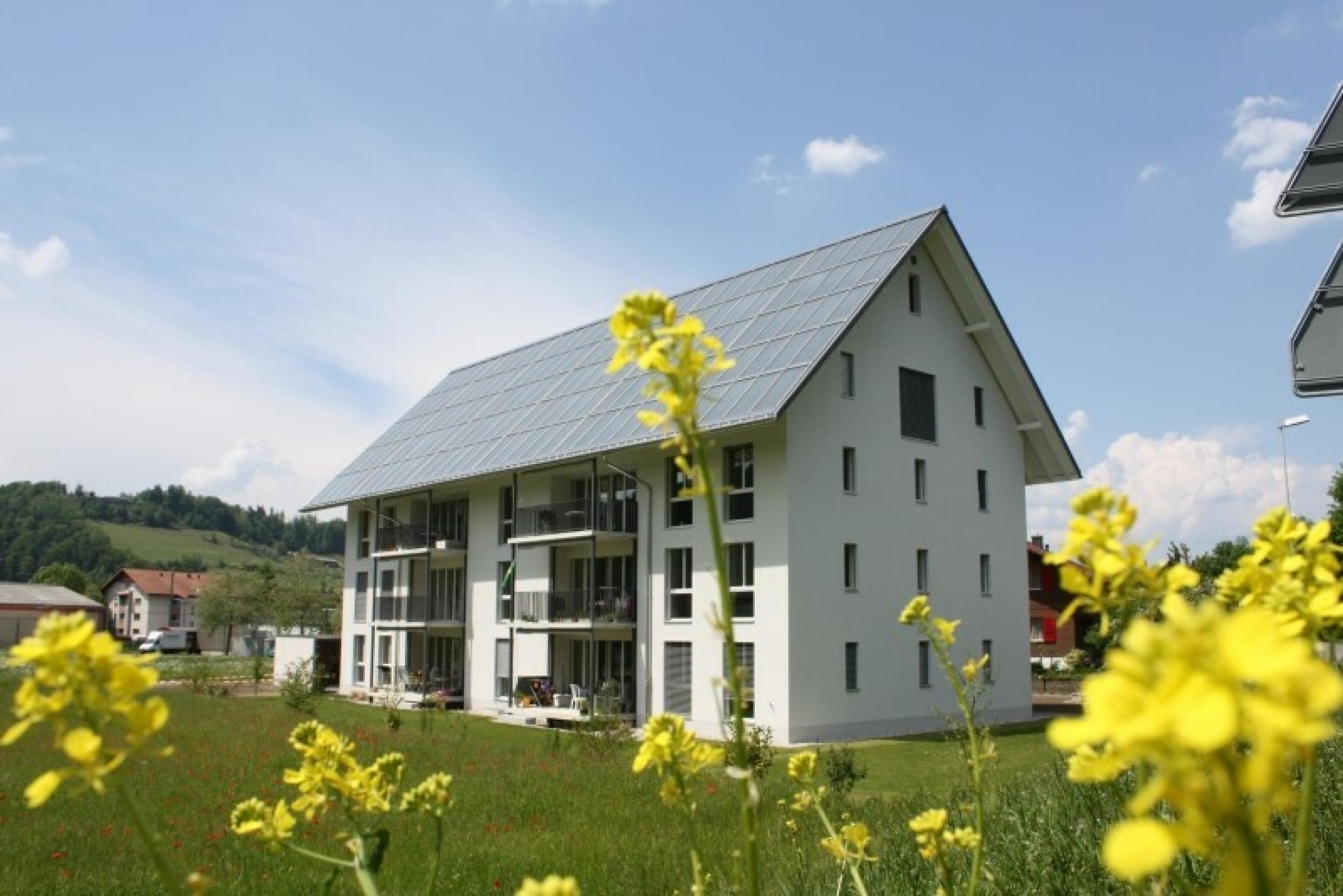 Eine Sonnenhaus steht in der grünen Wiese.