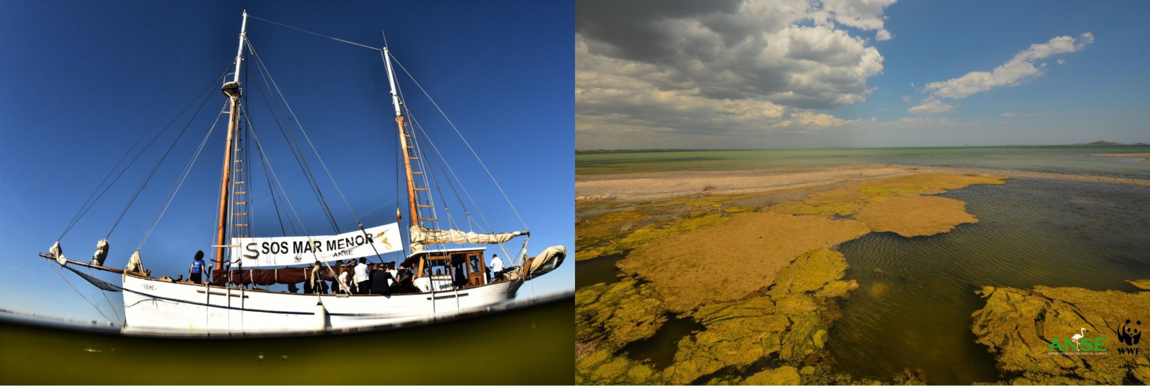 Zwei Fotos zeigen das Mar Menor als „grüne Suppe“, in der es keinen Sauerstoff zum Überleben der Fische und Krebstiere gibt