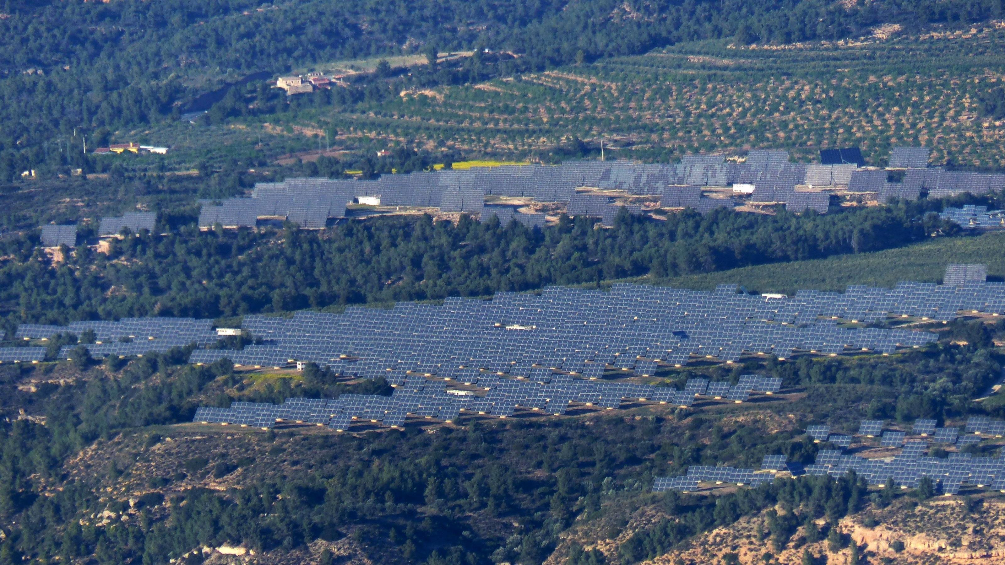 Dichte Reihen von Solarpaneelen inmitten von bewaldetem Hügelland