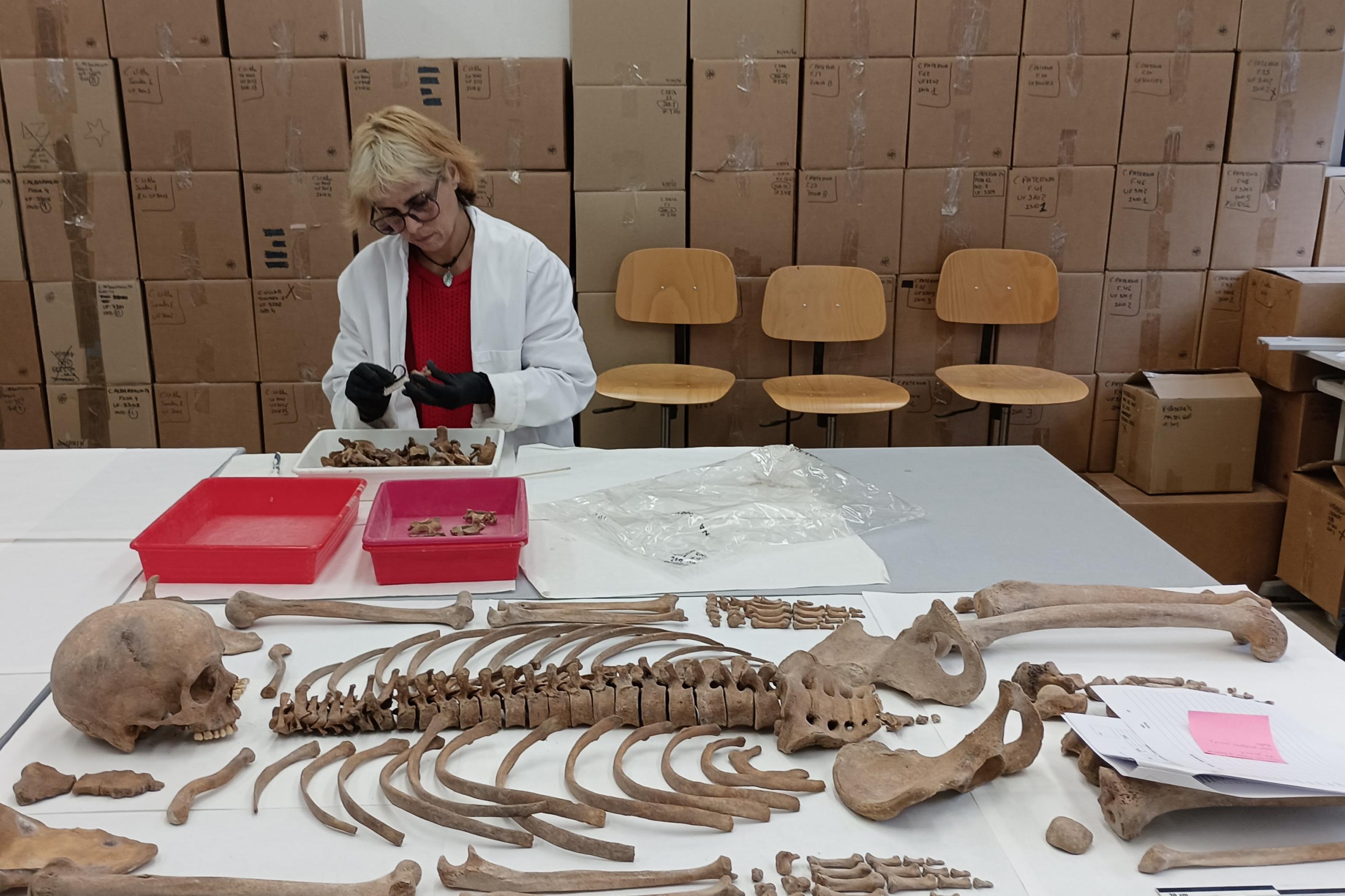 Eine Frau sitzt an einem Tisch und säubert menschliche Wirbel, vor sich ein Skelett. Im Hintergrund eine Wand aus Pappkartons.. Im
