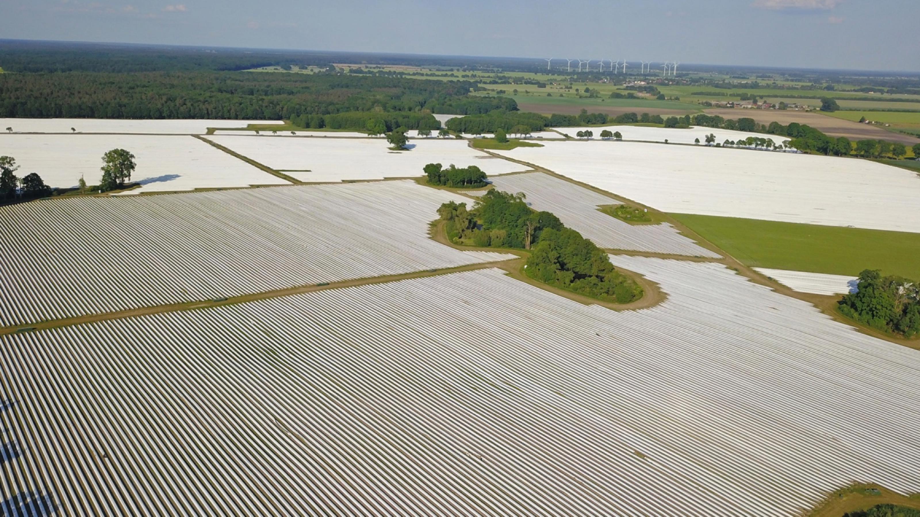 In vielen Vogelschutzgebieten, wie hier in Brandenburg, steht der Naturschutz nur auf dem Papier. Ein hier über viele Jahre erfolgreich brütendes Schreiadler-Paar hat seit der Verhüllung seines Lebensraums mit Plastikfolien für den Spargelanbau keinen Bruterfolg mehr. Die brandenburgische Landesregierung sieht darin dennoch einen vertretbaren Eingriff in einem europäischen Vogelschutzgebiet.