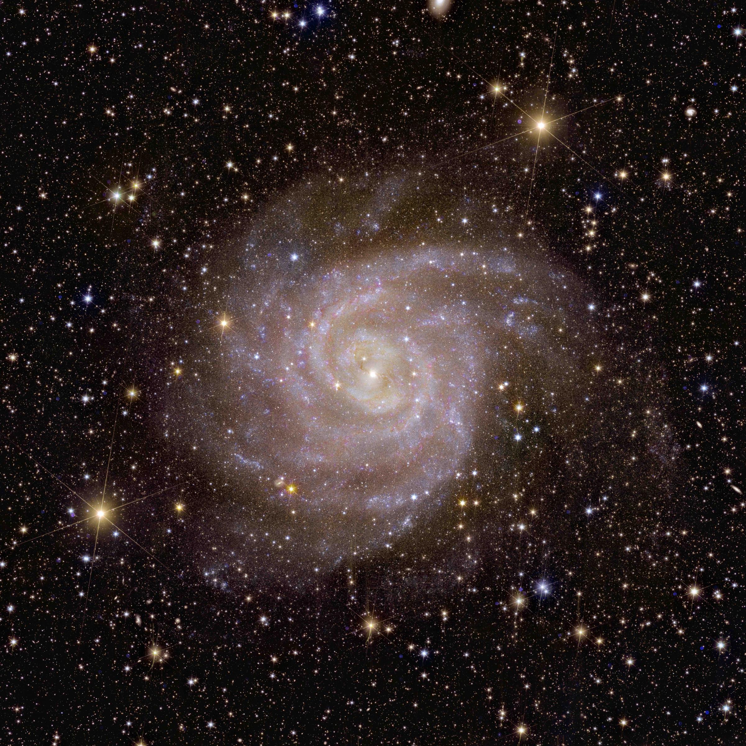 Na ciemnym tle pojawia się spiralny kształt z jasnymi kropkami, galaktyka spiralna IC 342.