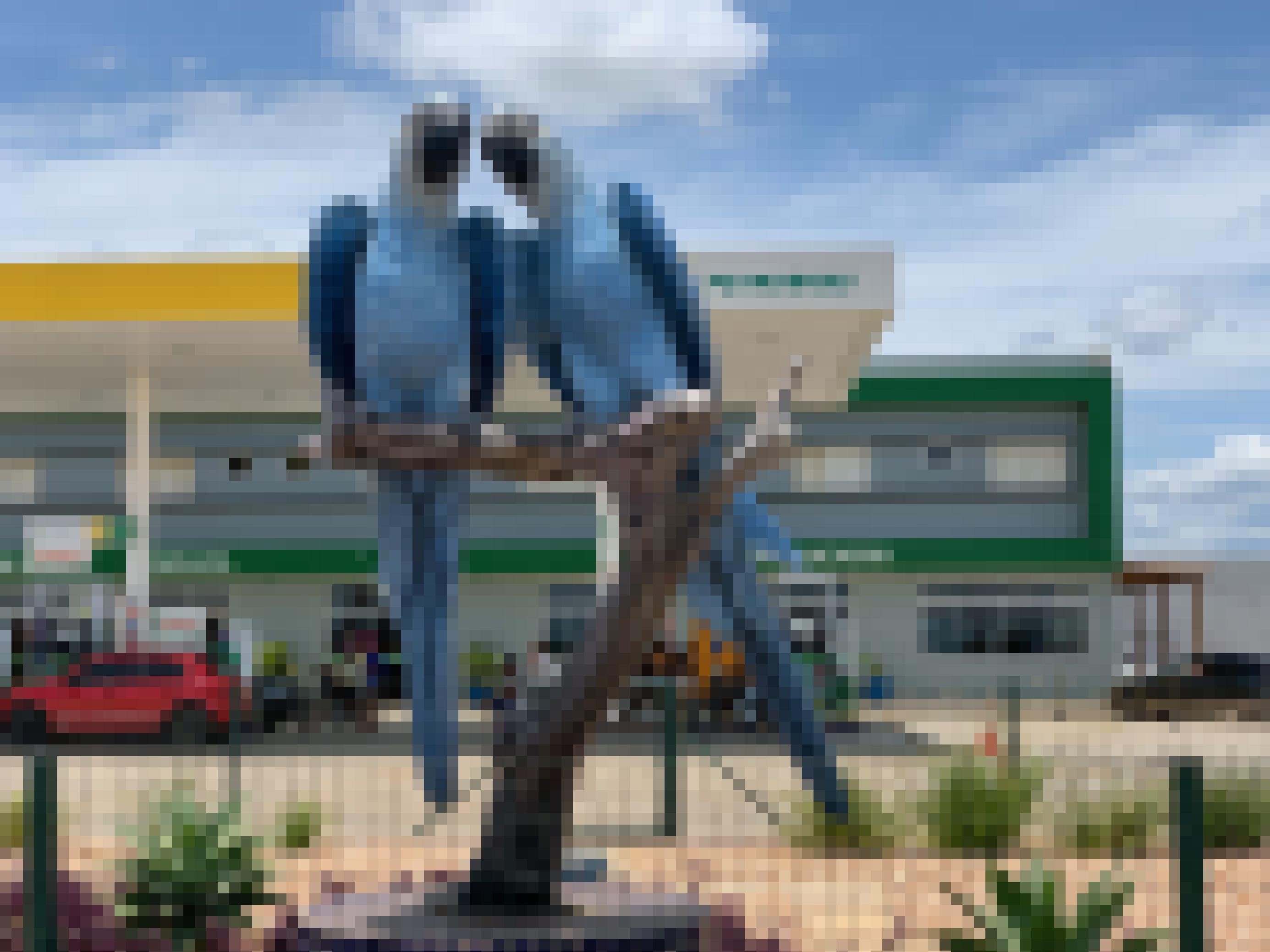 Bild zeigt die Tankstelle in Curaca, Brasilien, wo eine große Spix-Skulptur die Leute begrüßt