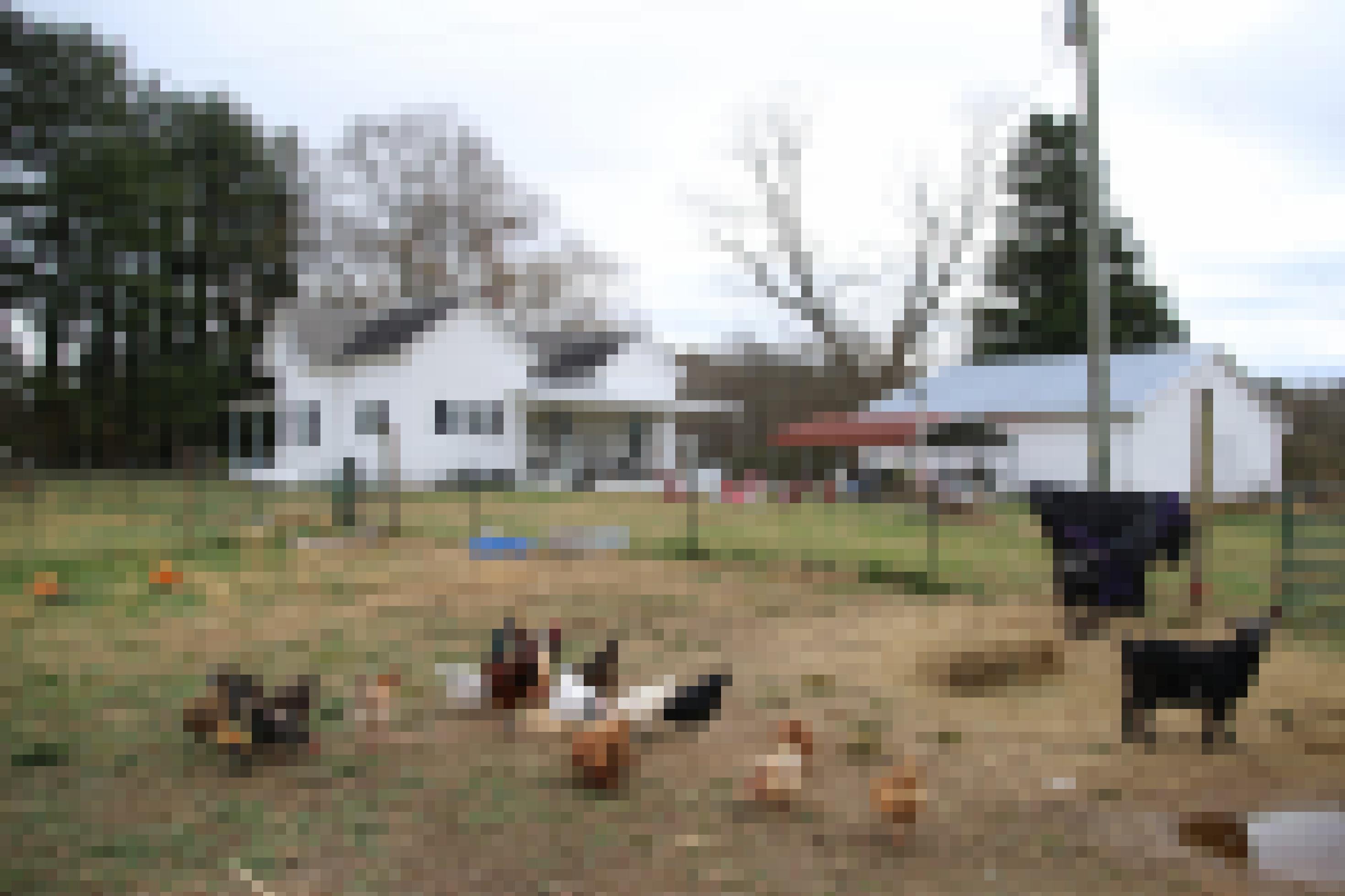 Ein Farmhaus in den USA, im Vordergrund laufen Hühner umher