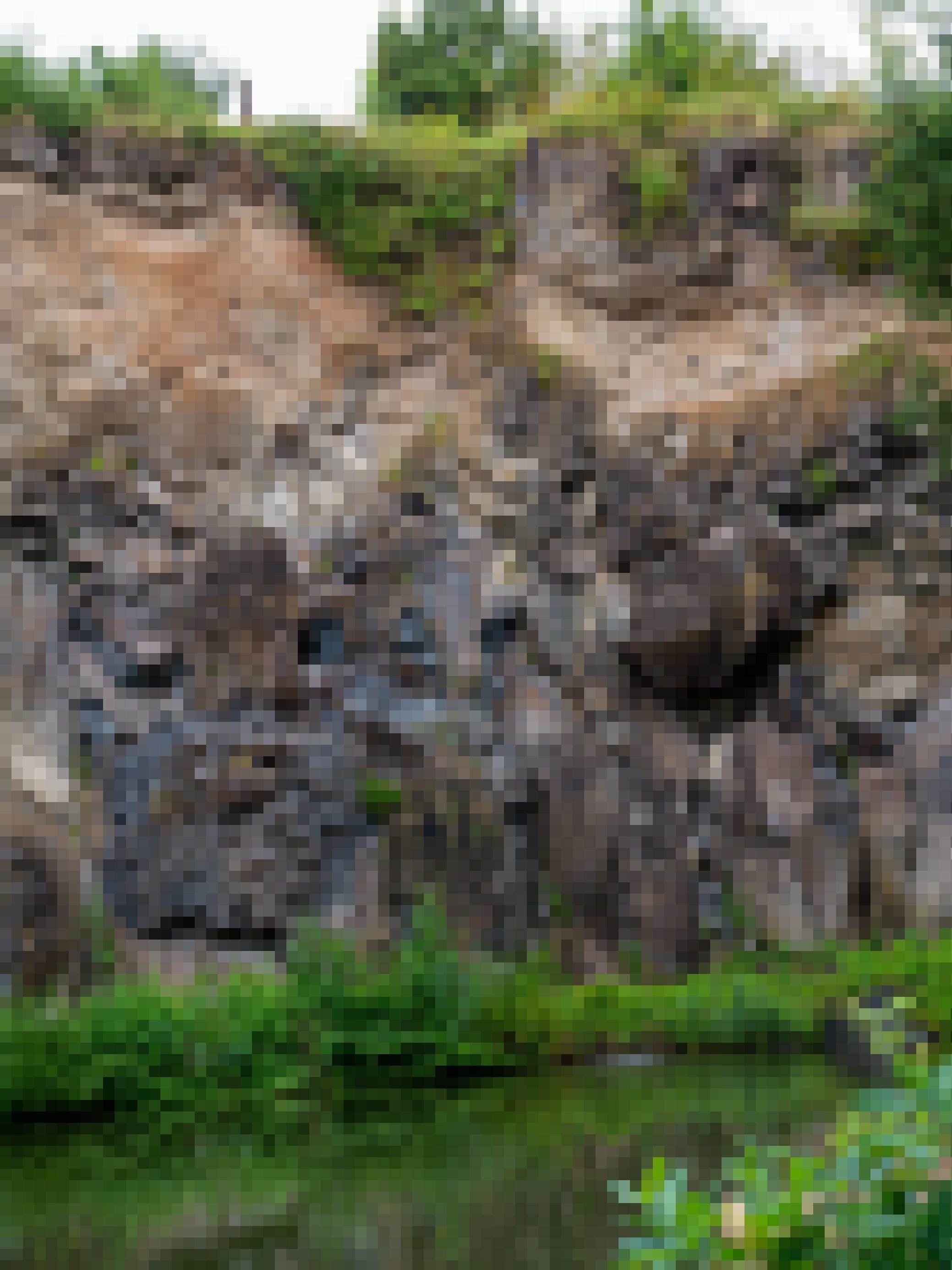 An der Oberkannte eines Steinbruchs ist bewachsener Boden zu erkennen, aus dem Wasser durch ein Rohr abfließt, Darunter Schichten aus beigem Tuff und schwarz-braunen Basaltblöcken. Am Boden des Steinbruchs hat sich ein Teich gebildet, an dessen Ufer grüne Pflanzen sprießen.