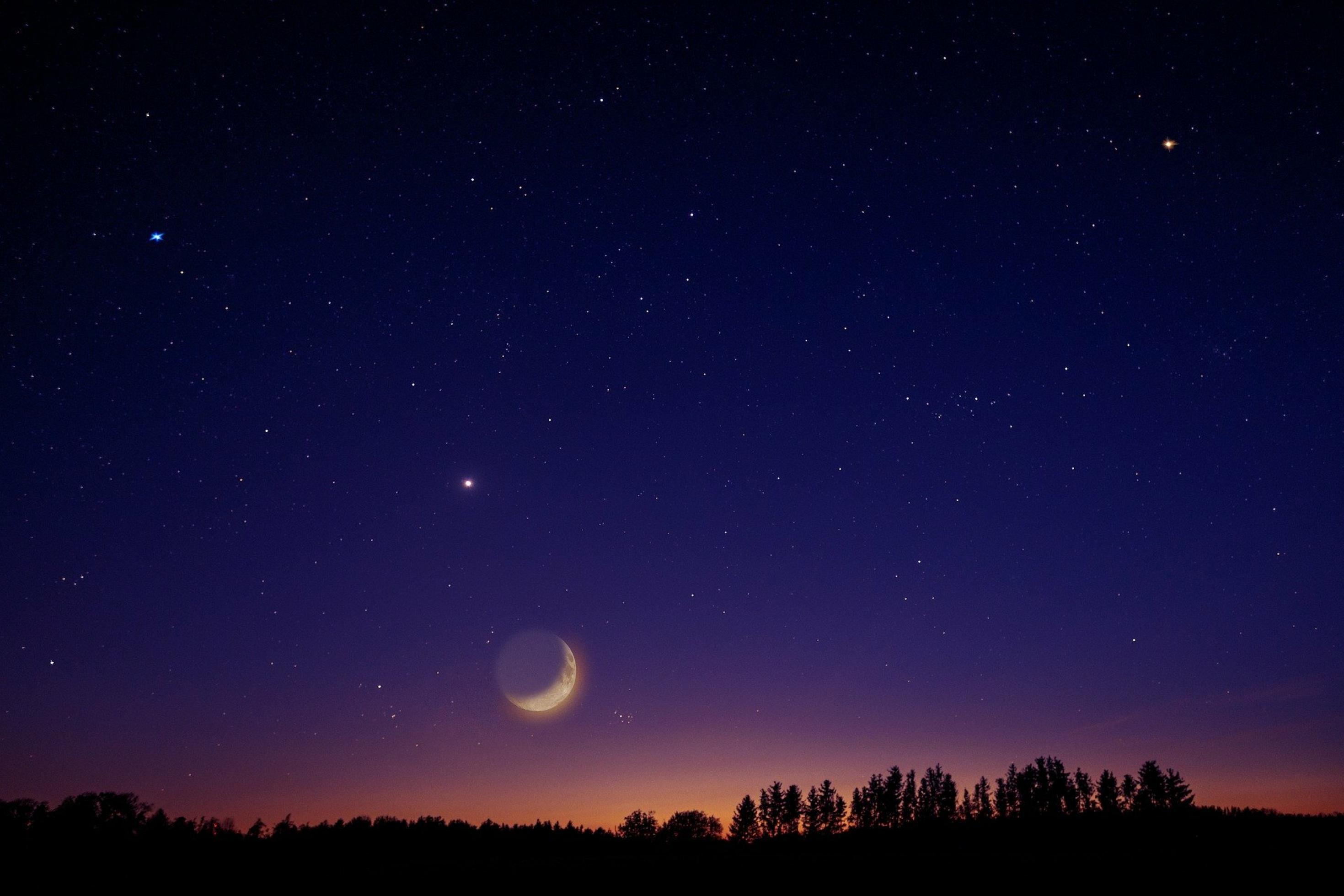 Über den Baumwipfeln eines Waldes sind der sichelförmige Mond und ein paar helle Sterne am Nachthimmel zu sehen.