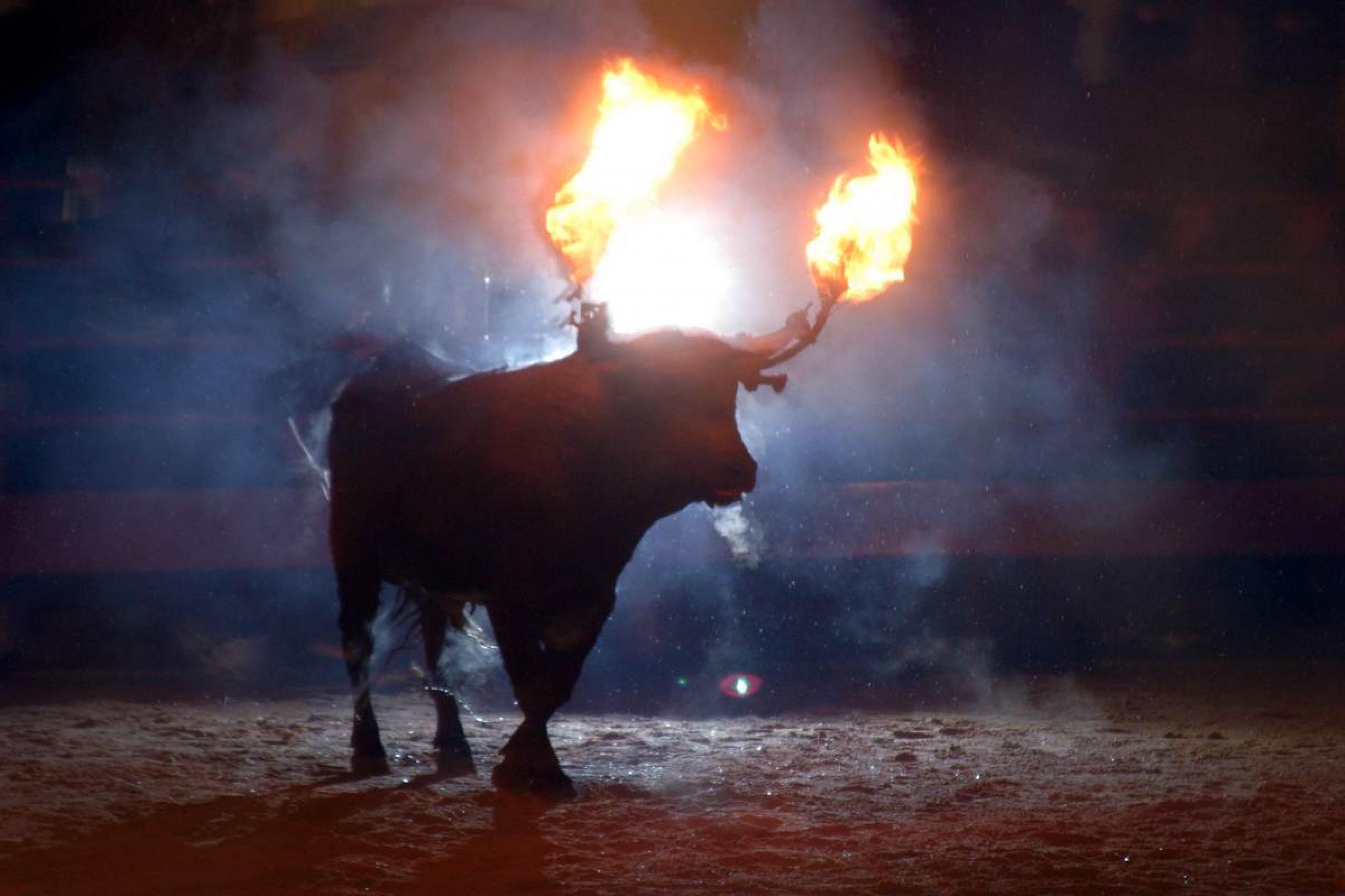 Stier mit Feuer auf den Hoernern in der Arena bei Nacht. Fiesta del Toro jubilo in Maedinaceli, Kastilien und León, Spanien