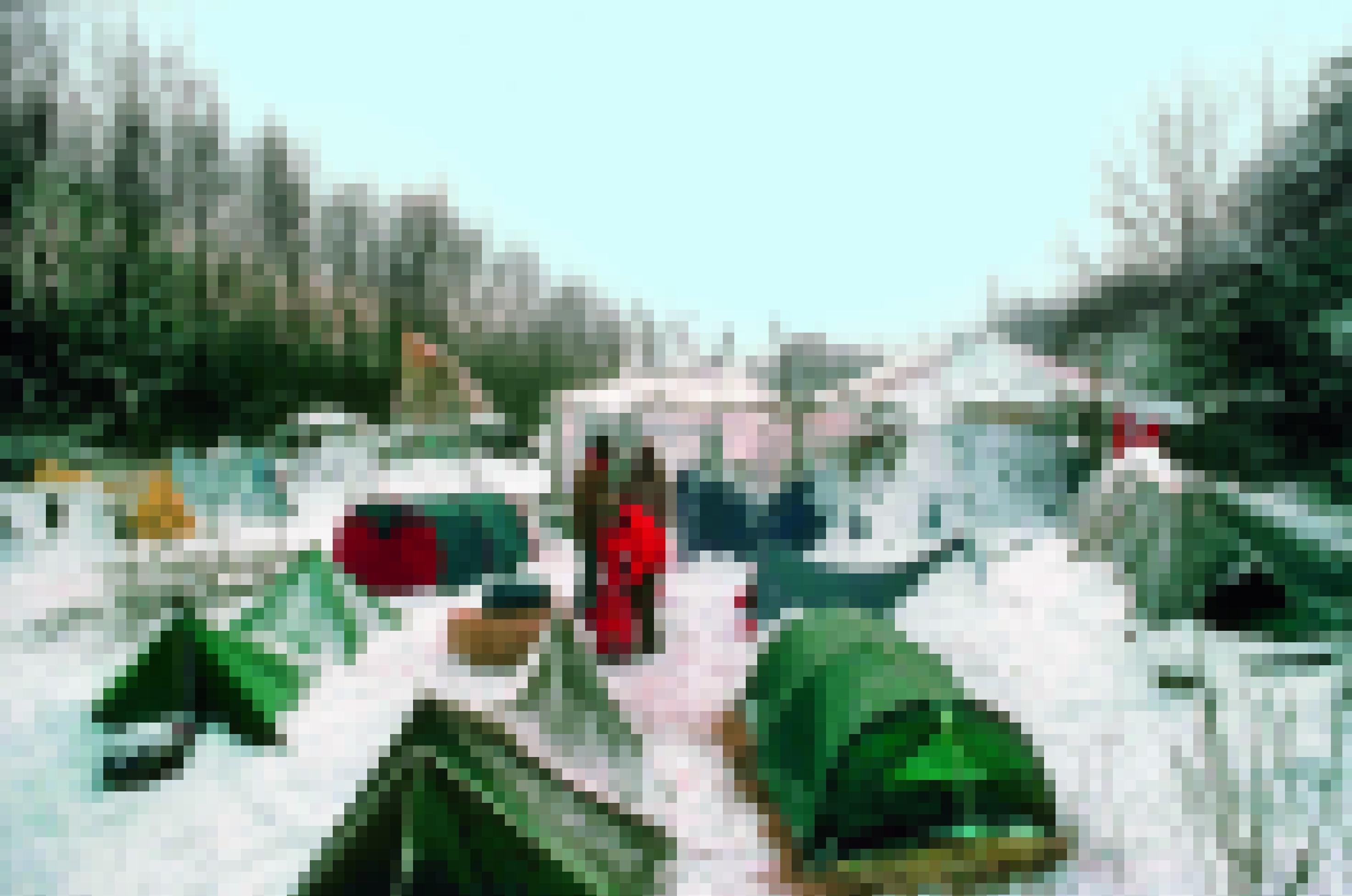 Auwald im Winter mit Zelten.