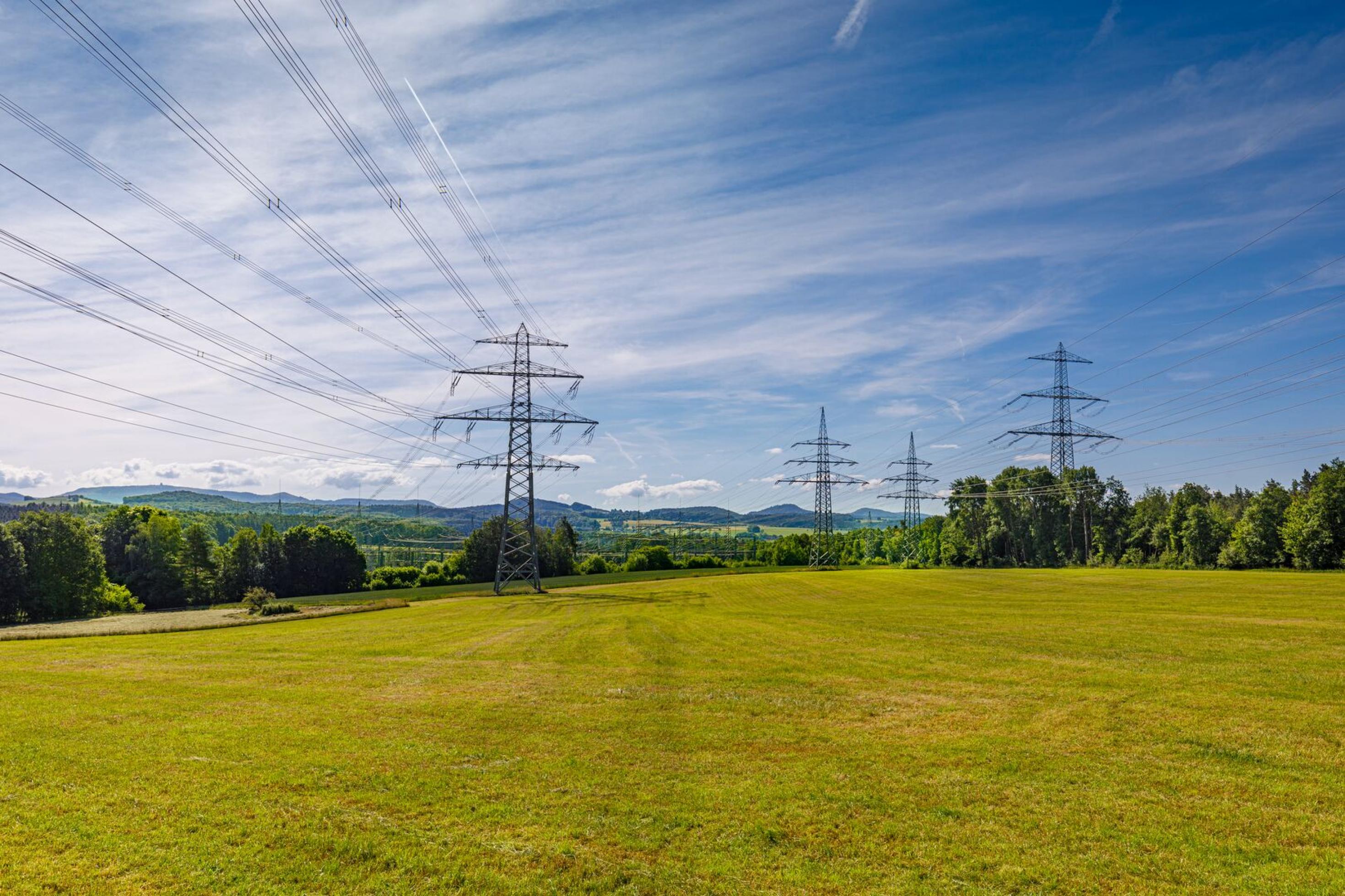 Strom-Freileitung über einem blühenden Rapsfeld, mit Hochspannungsmasten