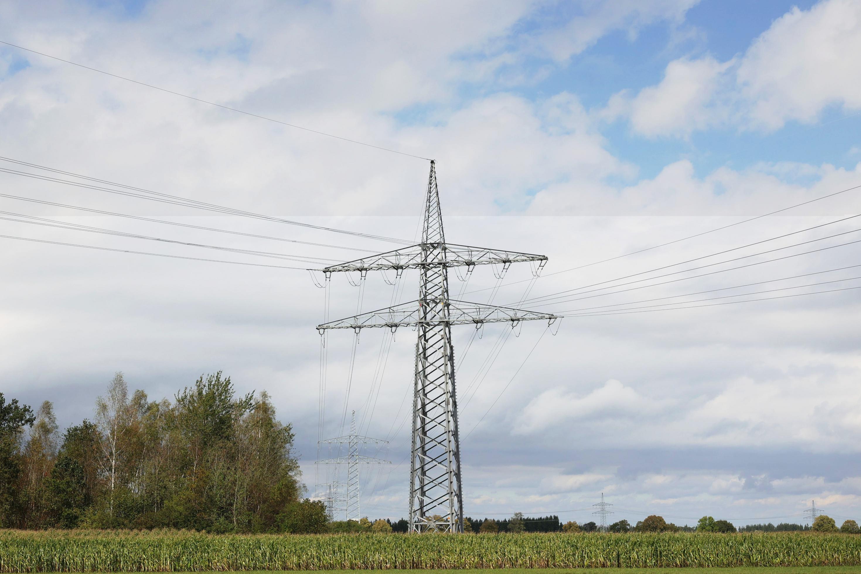 Strommast, aus einigem Abstand fotografiert. Im Vordergrund ein Feld, links Bäume. Viel Himmel.