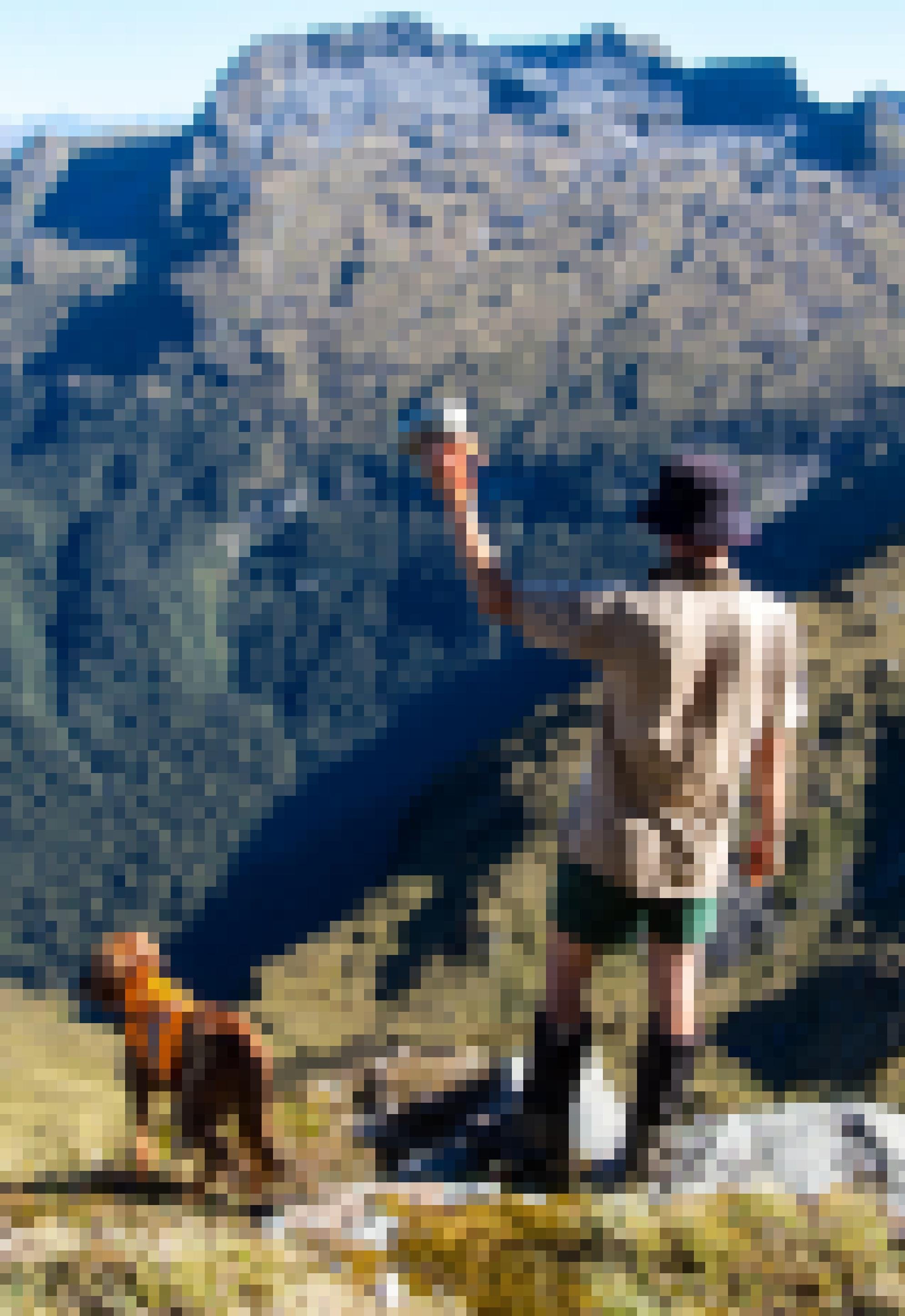 Ein Mann steht am grasbewachsenen Hang eines Gebirges und hält mit seiner rechten Hand ein Empfänger-Gerät in die Luft. Neben ihm steht ein Hund mit orangefarbener Schutzweste.