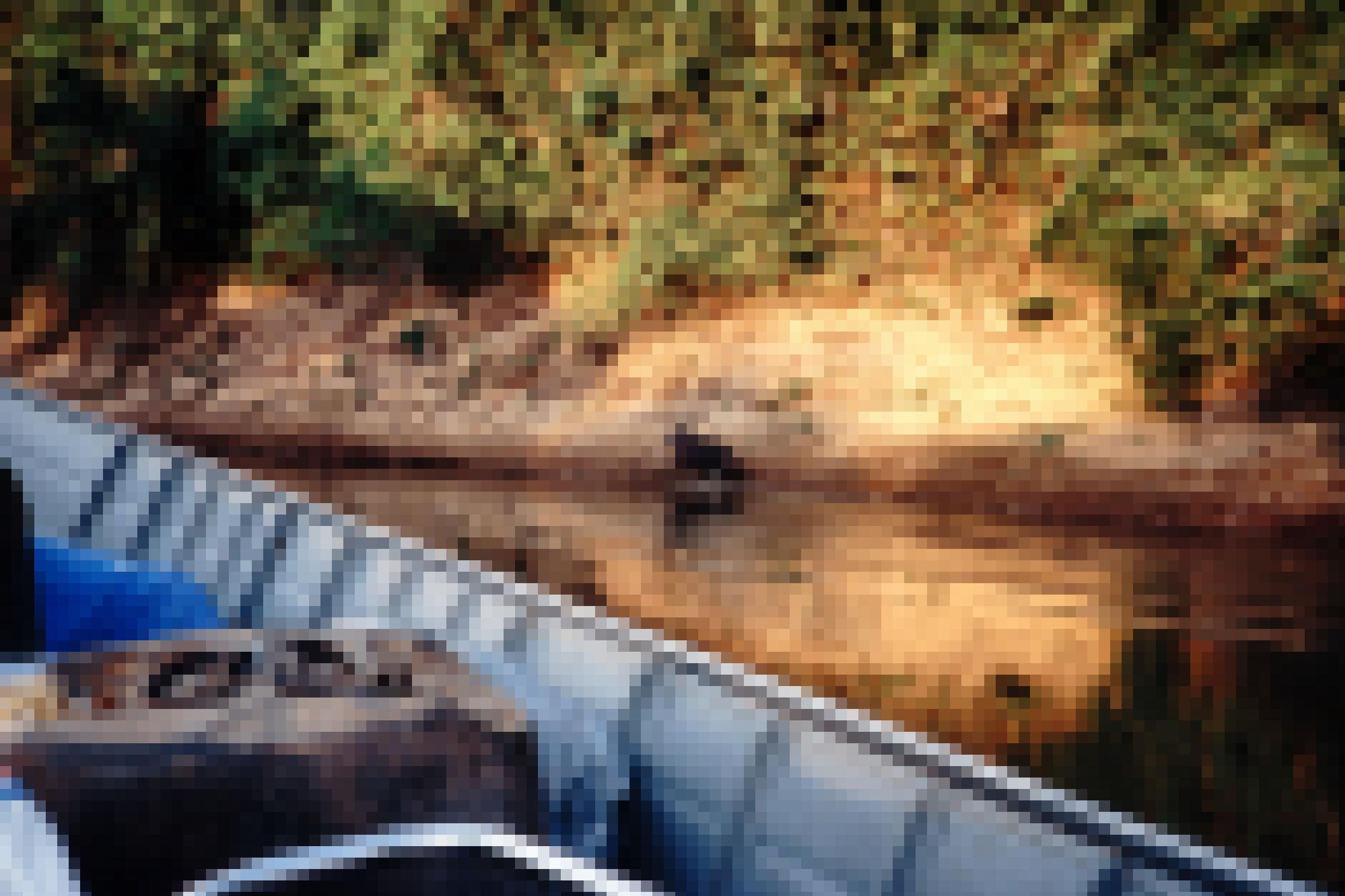Am Flussufer flieht ein Tapir vor dem Geräusch des Motorboots in den Wald.
