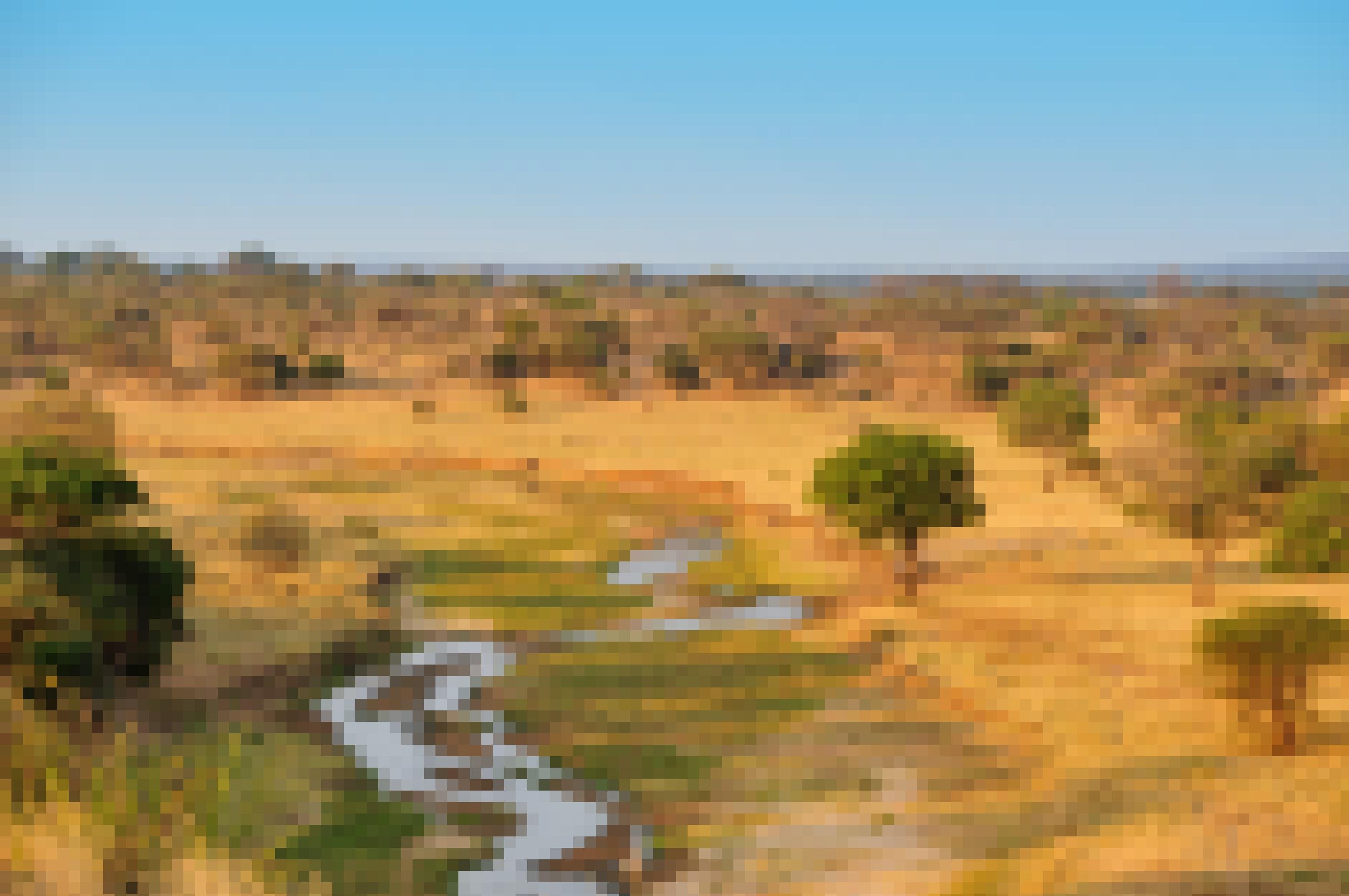 Das Foto zeigt eine afrikanische Landschaft unter blauem Himmel. Im Vordergrund ein Flussbett, das nur noch wenig Wasser führt, mit einigen grünen Bereiche direkt daneben. Es ist umgeben von gelben, vertrockneten Grasflächen, aus denen blassgrüne Bäume aufragen, die sich bis zum Horizont erstrecken.