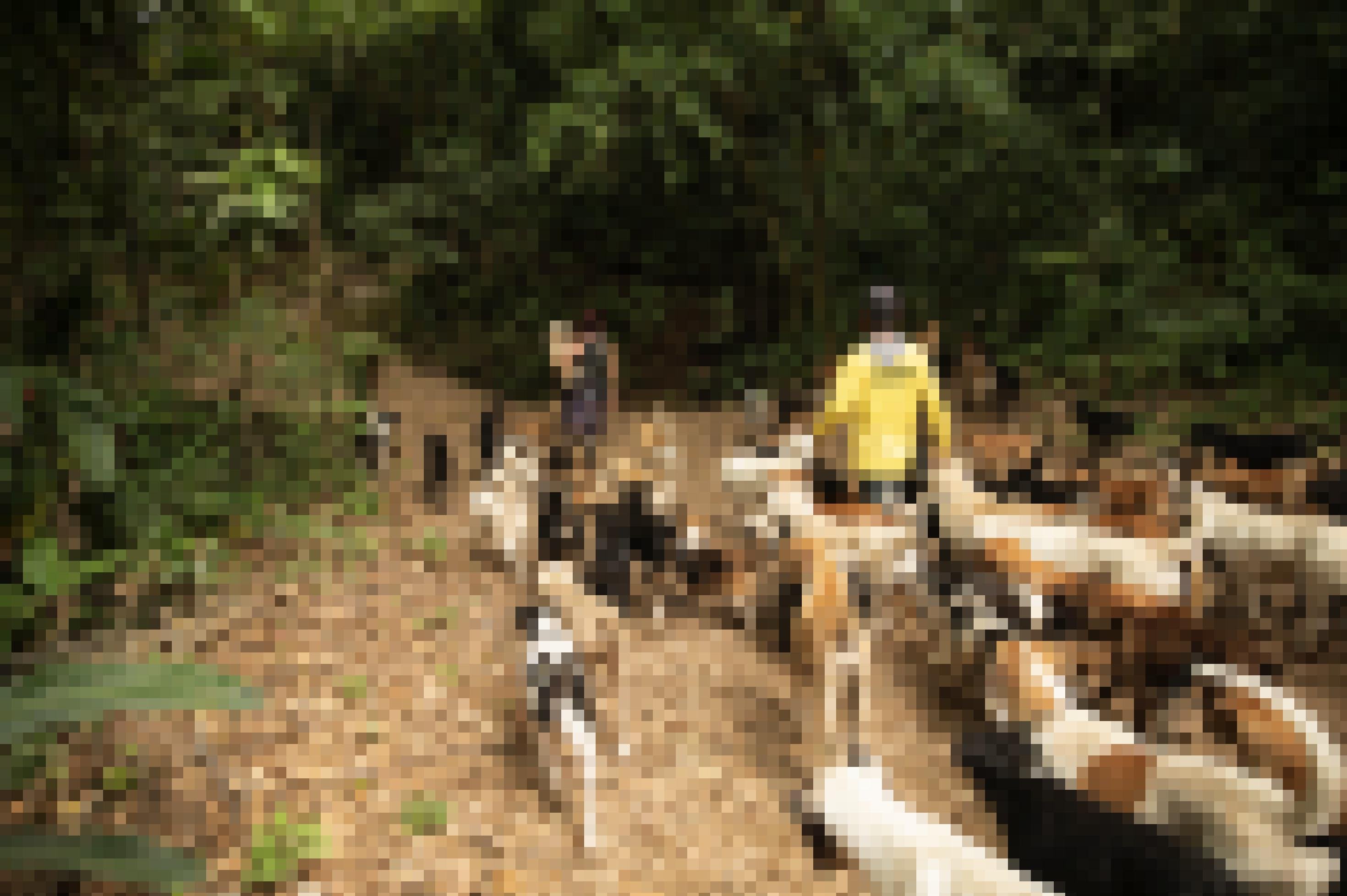 eine Hundemeute folgt in Costa Rica zwei Menschen auf dem Fuß