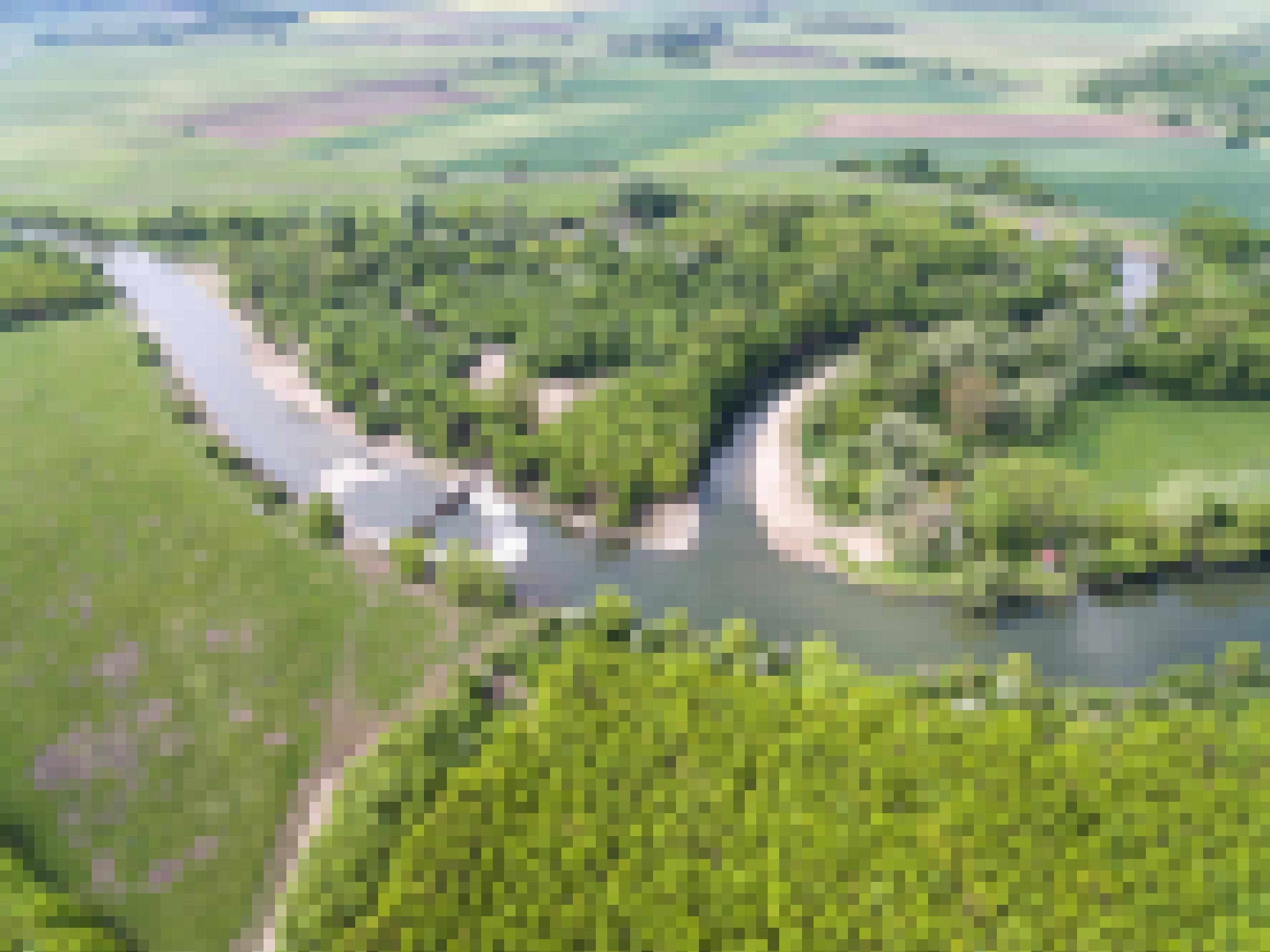 Luftaufnahme einer grünen Landschaft mit einem Mäander des Flusses Thaya.