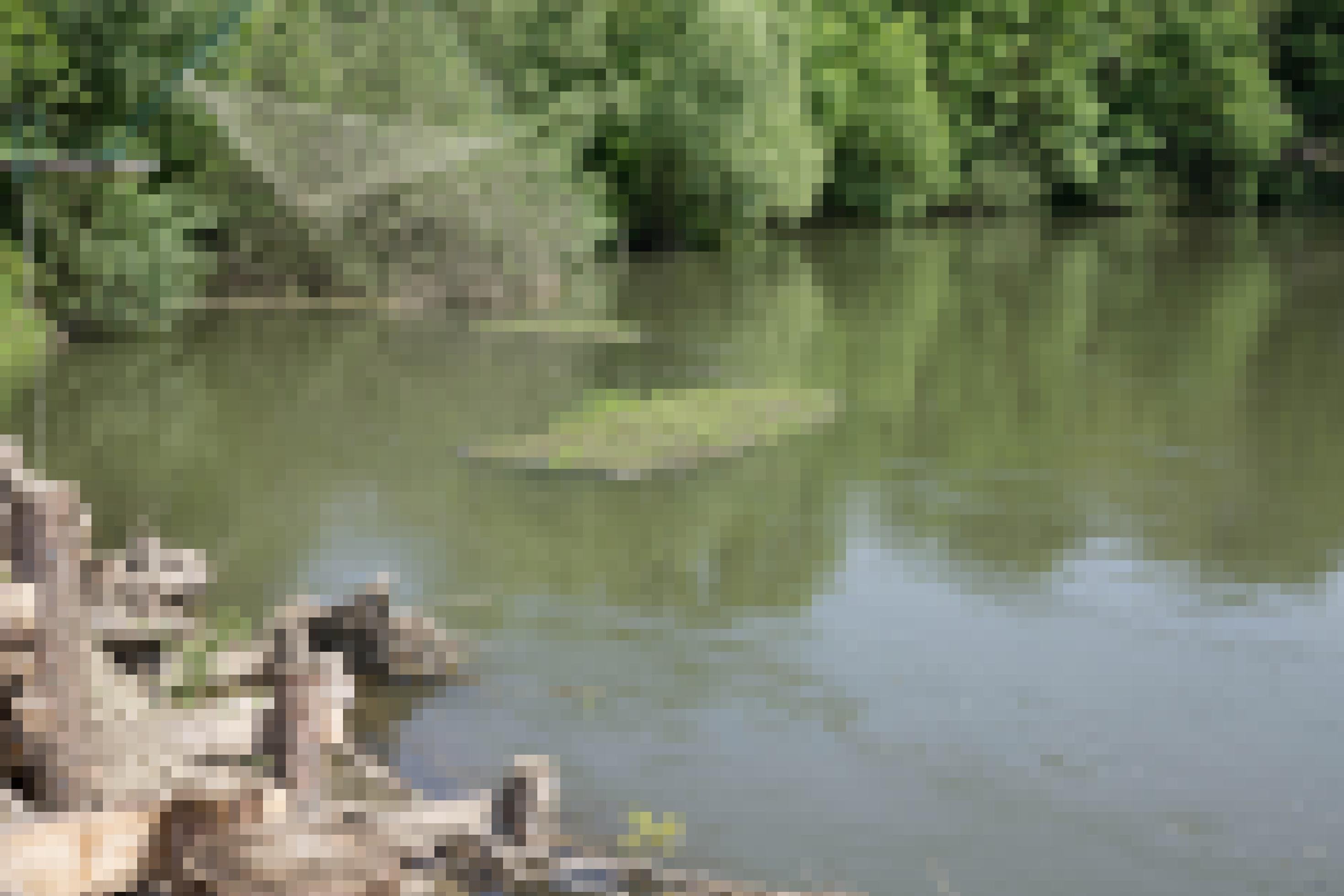 Fluss mit bewachsenem Ufer, auf dem Wasser eine schwimmende Insel aus Gras.