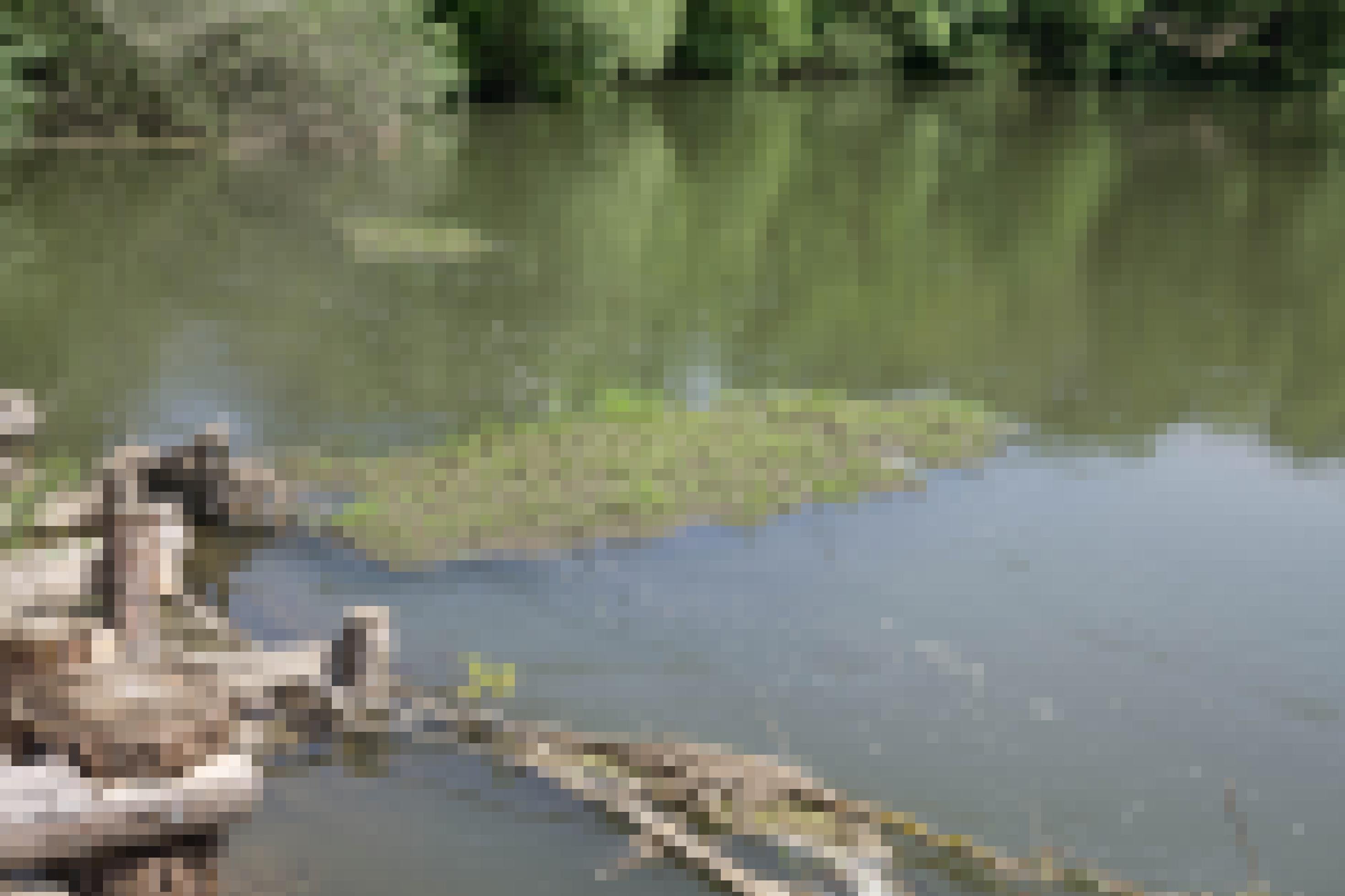 Schwimmende Insel aus Gras auf dem Fluss.