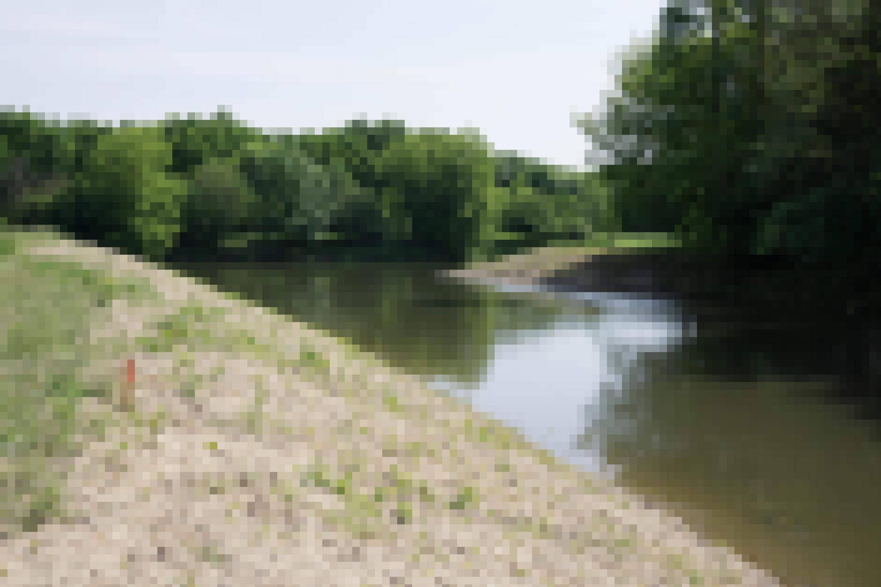 Einlauf des Flussmäanders, links Erde mit wenigen Pflanzen.