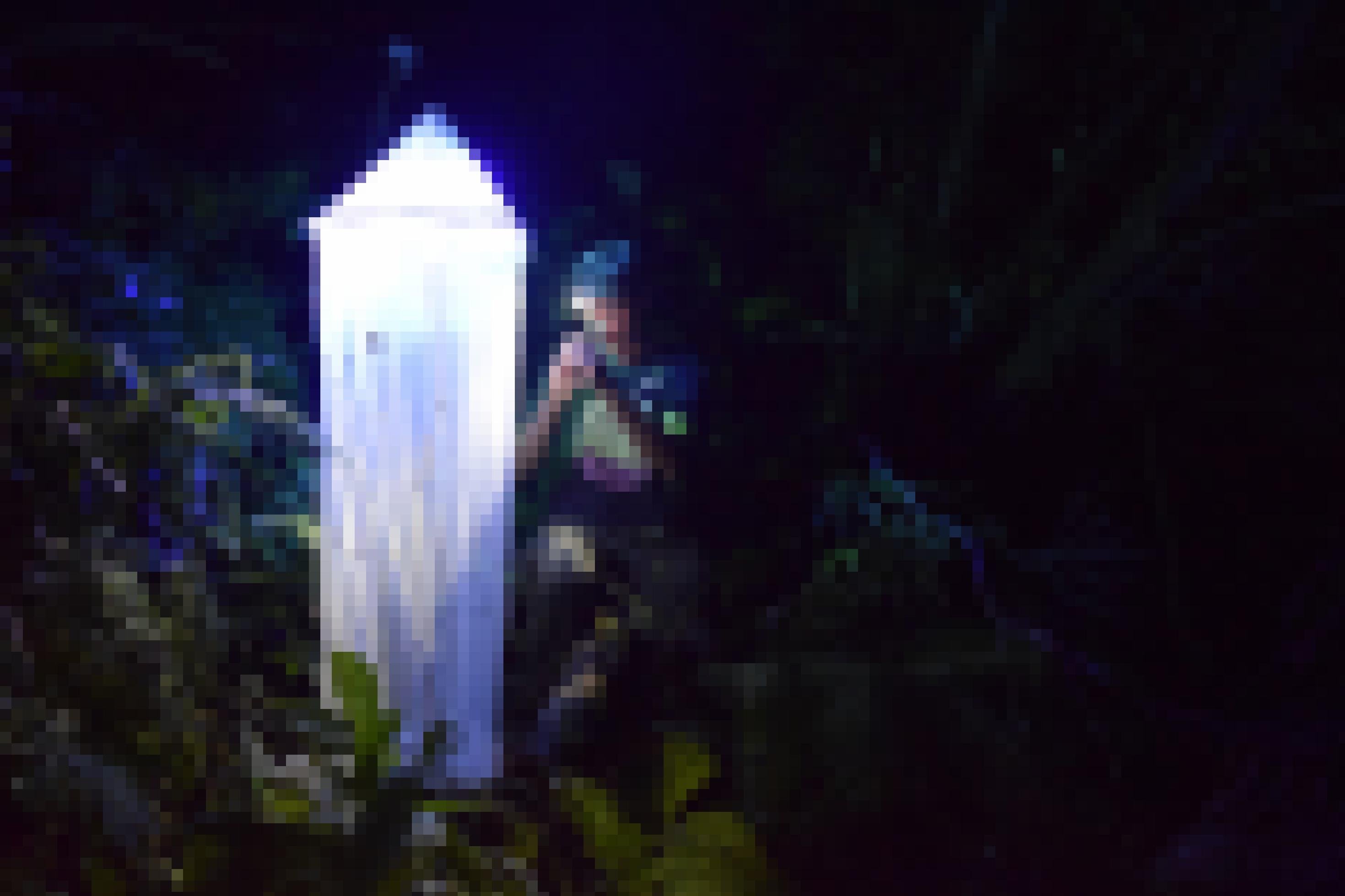 Ein junger Mann nachts in einem tropischen Wald: links ein großes, kegelförmiges Netz, das von innen beleuchtet ist