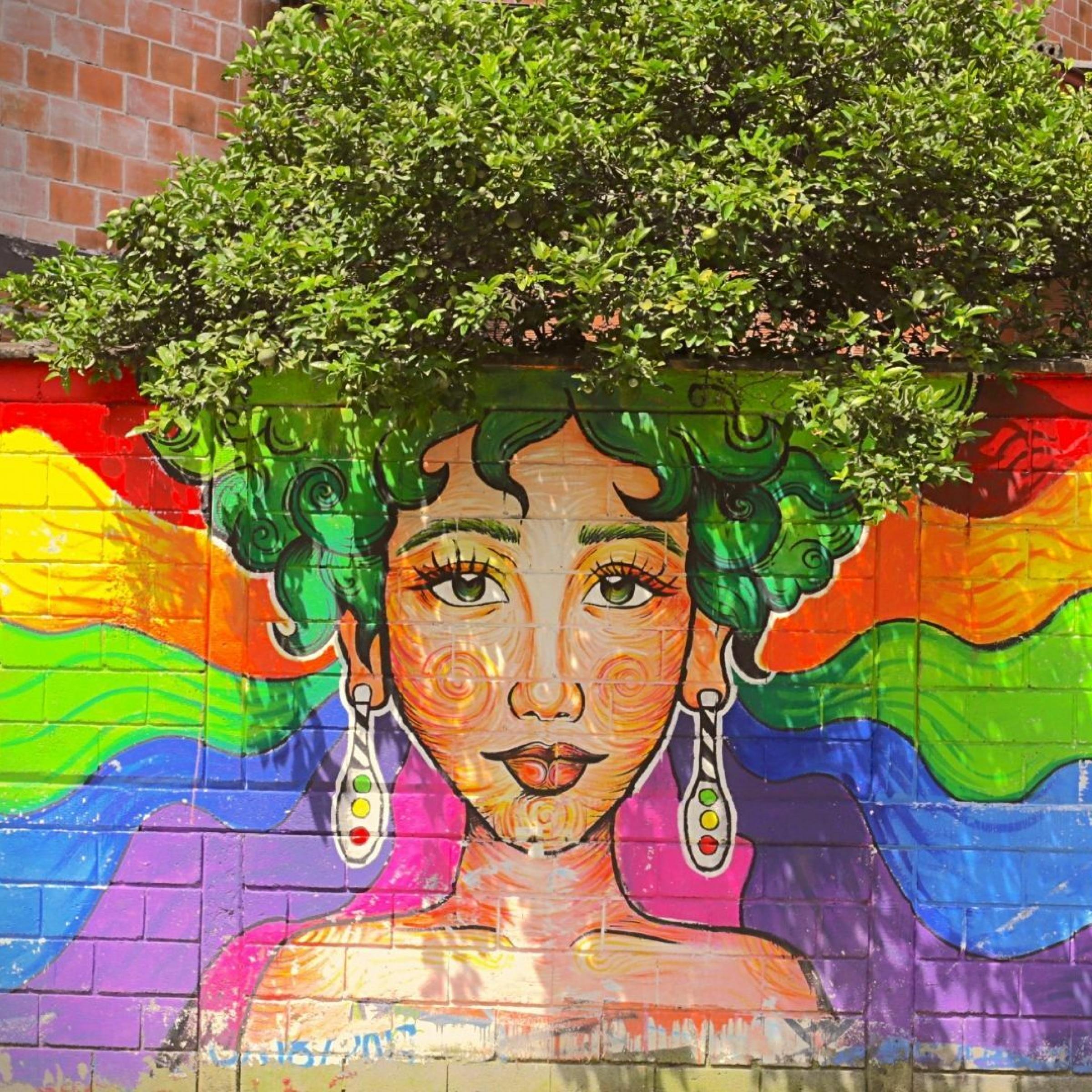 Das Foto zeigt eine Mauer mit einem gemalten Frauenkopf. Die Frau hat grüne Haare. Wo die Haare der Frau auf der Mauer enden, gehen sie in die Krone eines Baumes über, der hinter der Mauer steht. Die Frau sieht aus, als ob sie einen riesigen grünen Baum-Afro trüge.