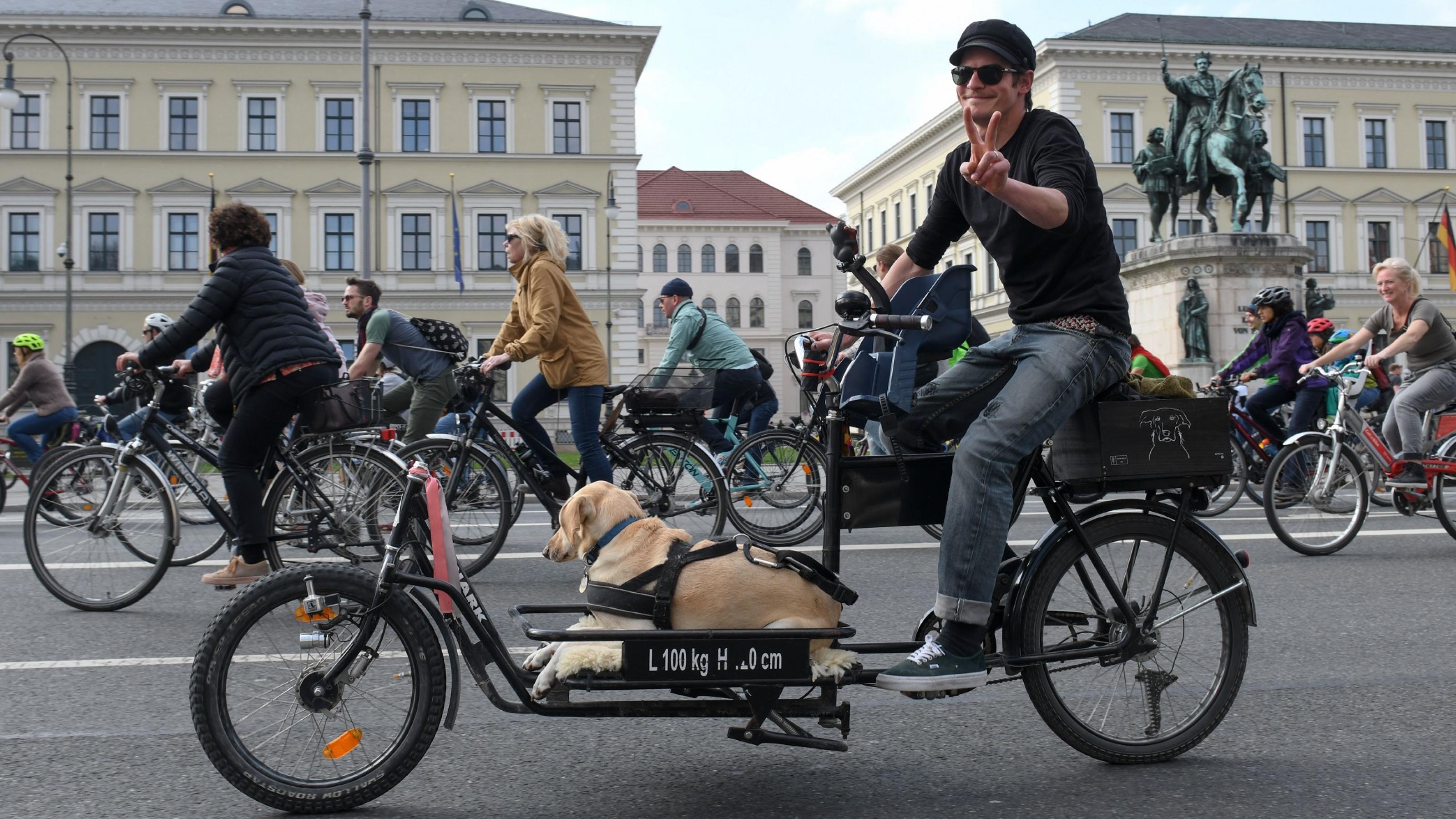 Ein Teilnehmer bei einer Fahrraddemo in München. Auf seinem Lastenrad liegt ein Hund.