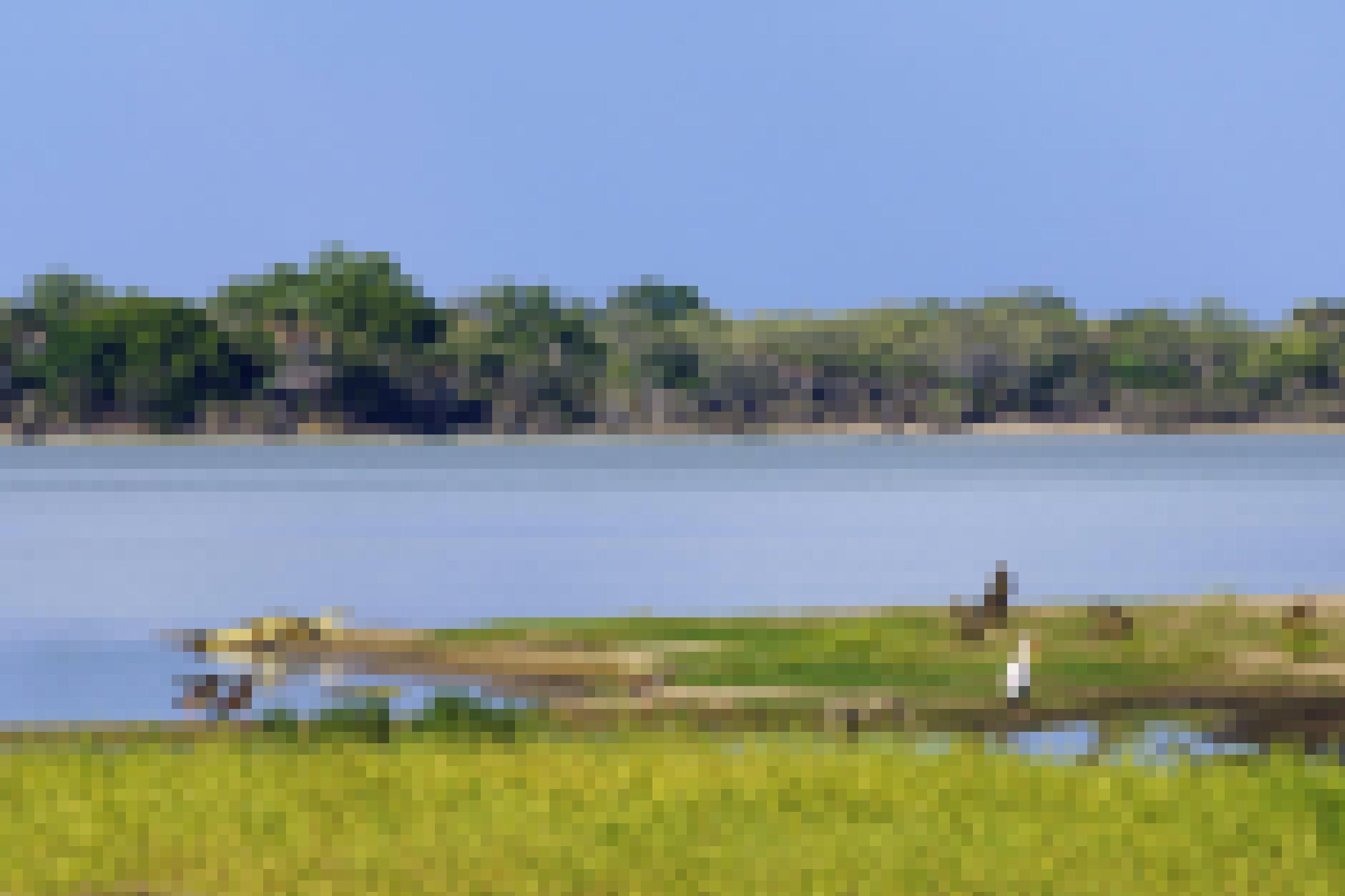 Im Hintergrund Bäume, am Fluss ein Krokodil, Affen und verschiedene Wasservögel.