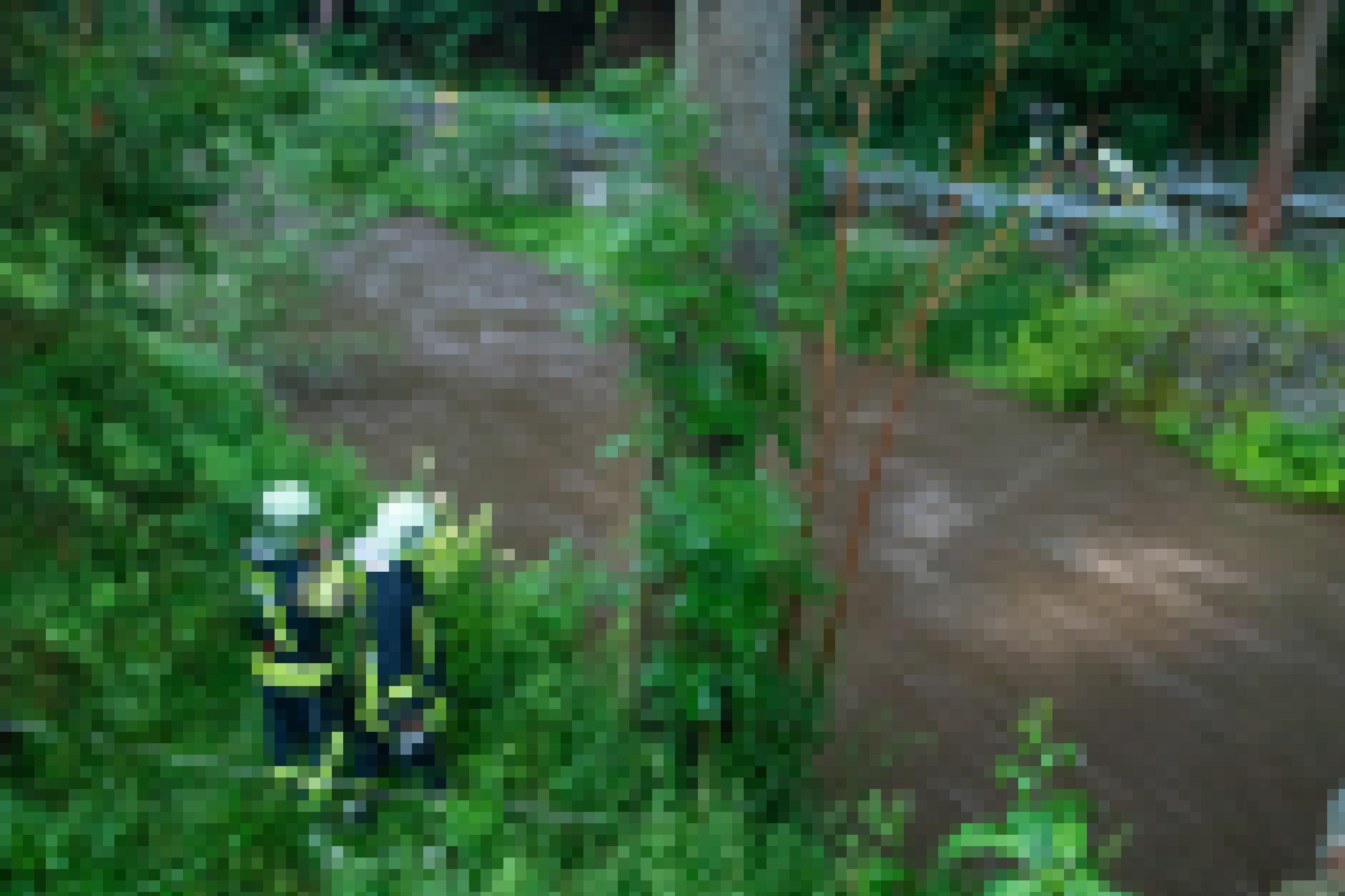 Brauner Bach mit grünem Uferbewuchs, fünf Feuerwehrleute am Ufer schauen ins Wasser.