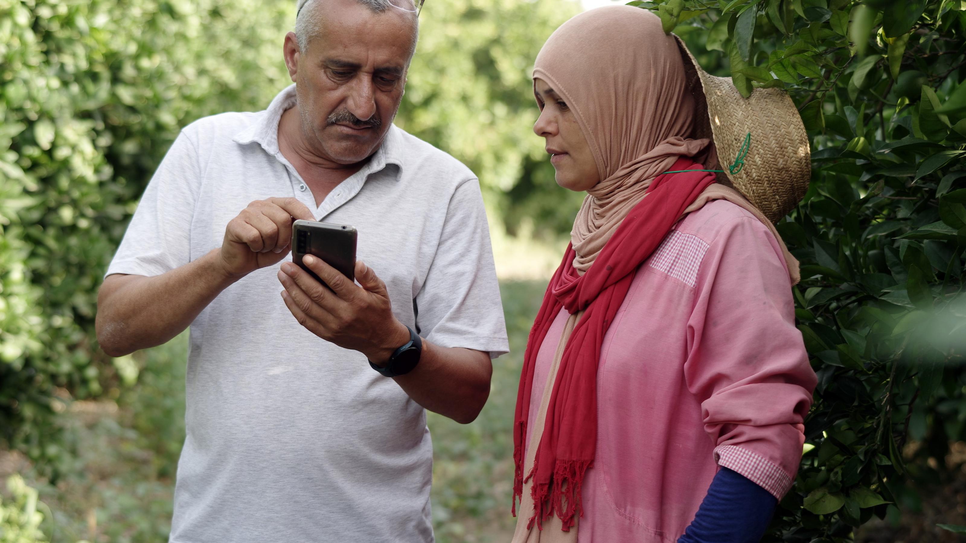 Ein Mann und eine Frau stehen in einem Hain von Zitrusfrüchten und schauen auf ein Handy