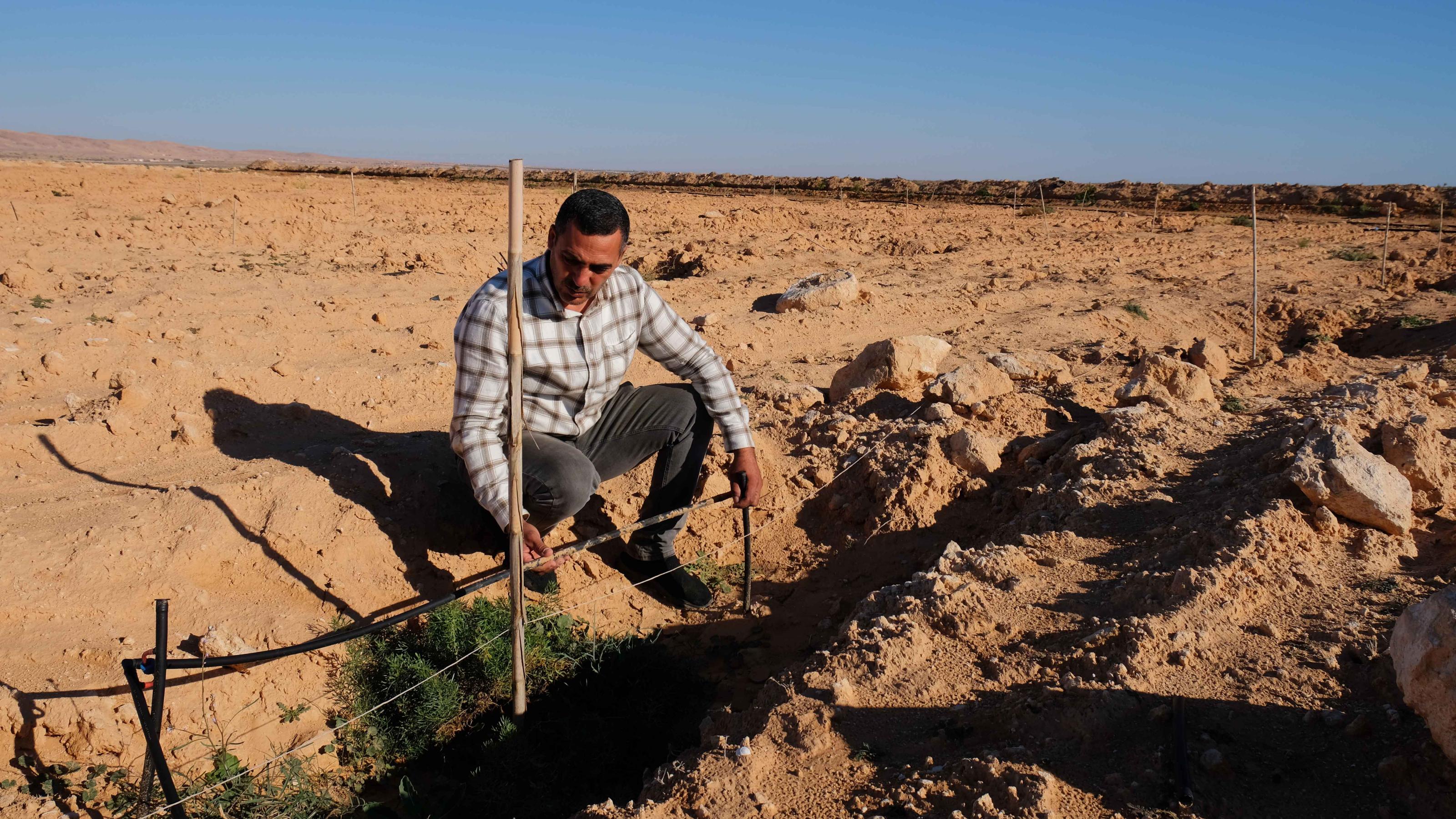 Ein Mann kniet vor eine kleinen Graben mit einem Ast als Platzhalter und einem Bewässerungssystem