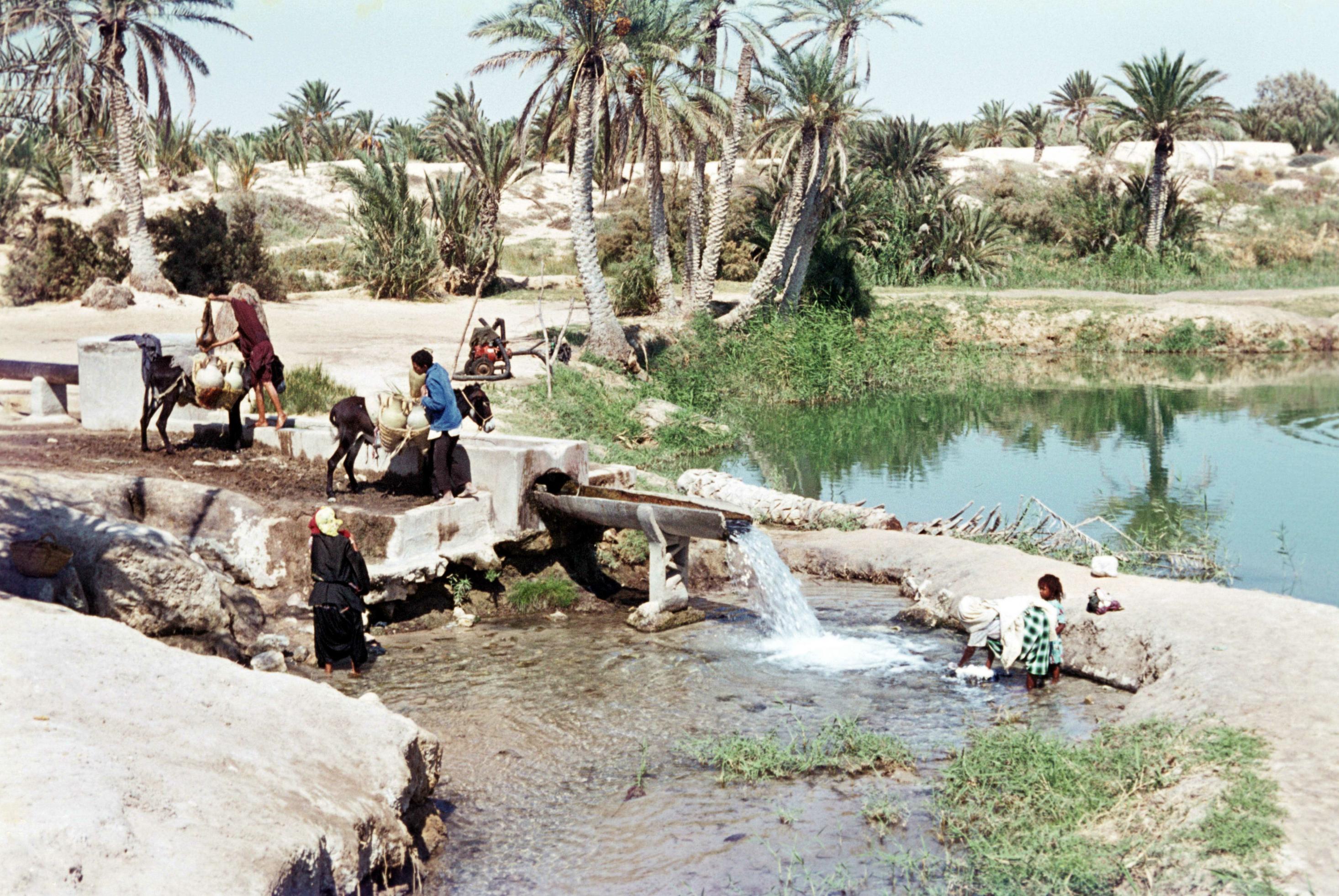 Historisches Foto: Tunesische Familie besorgt sich ihren Wasservorrat an einer Quelle in der Oase von Kebili. Ein Esel trägt Wasserkanister, mehrere Personen sitzen am Rand der Quelle.