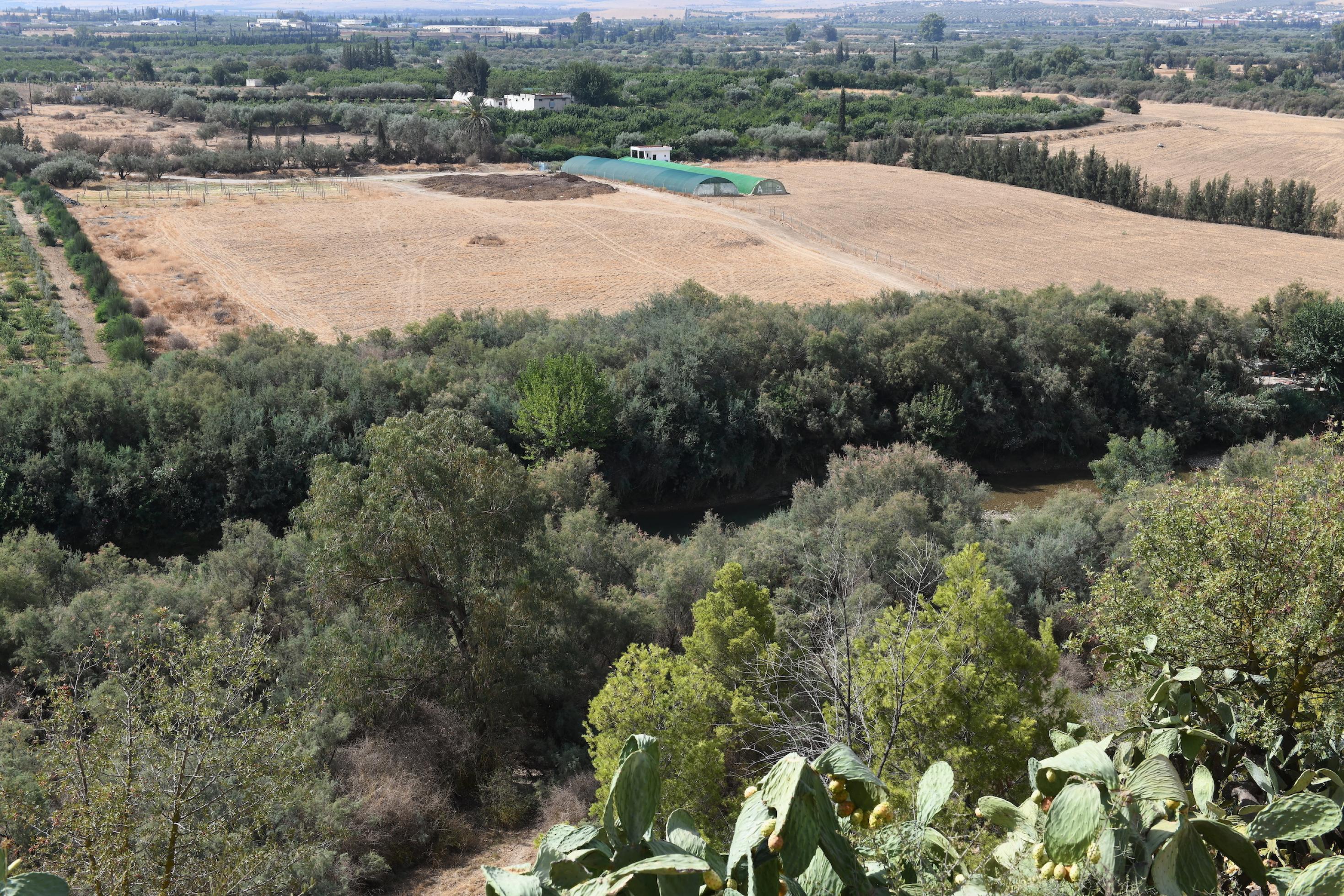 Felder direkt am Flusslauf des Oued Medjerda